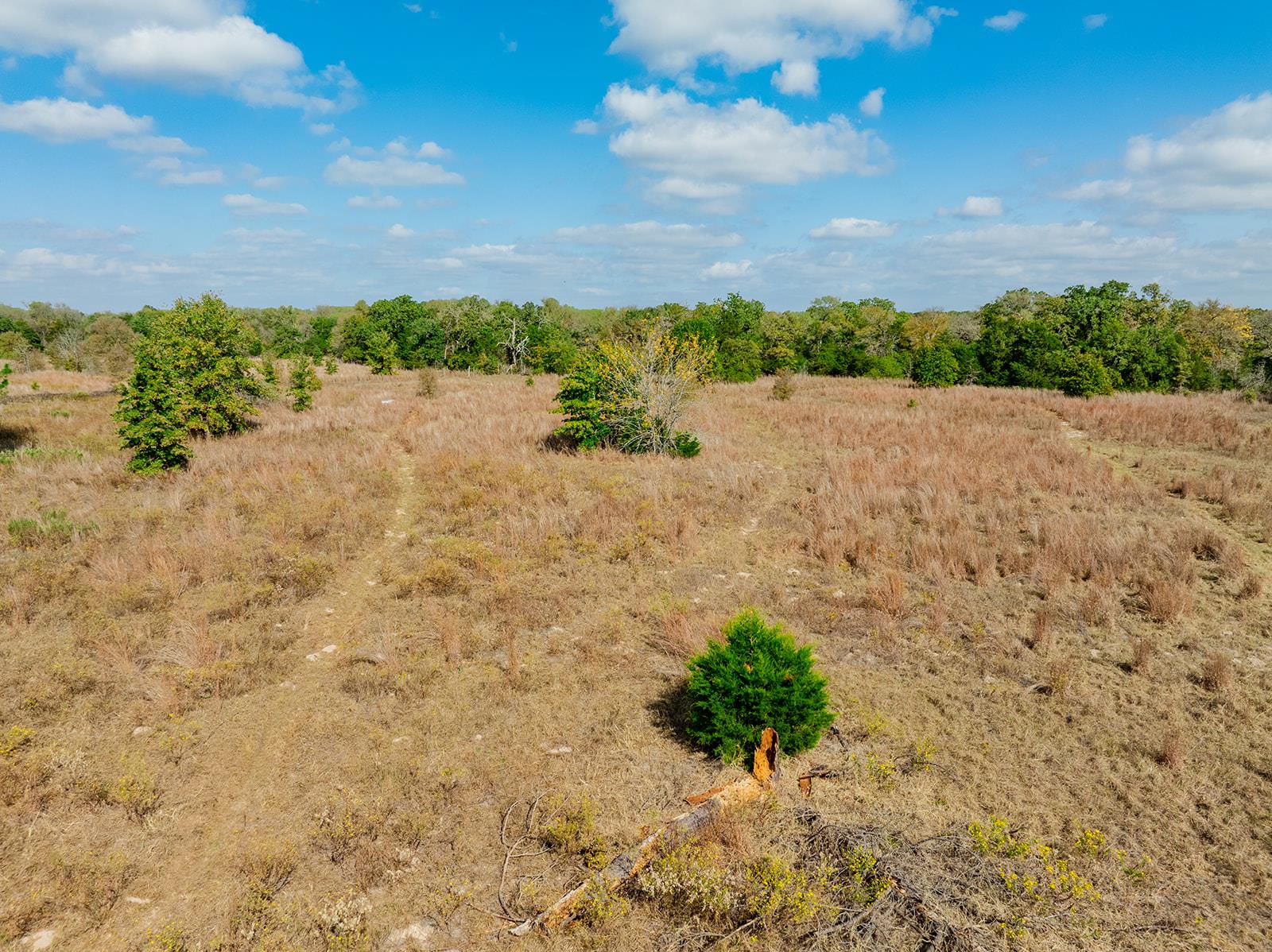 164 Bull Run Rd, Cedar Creek, TX 78612