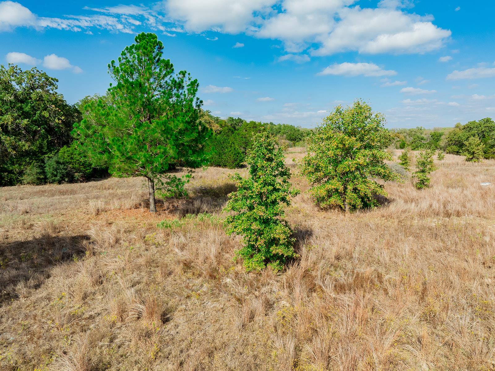 164 Bull Run Rd, Cedar Creek, TX 78612
