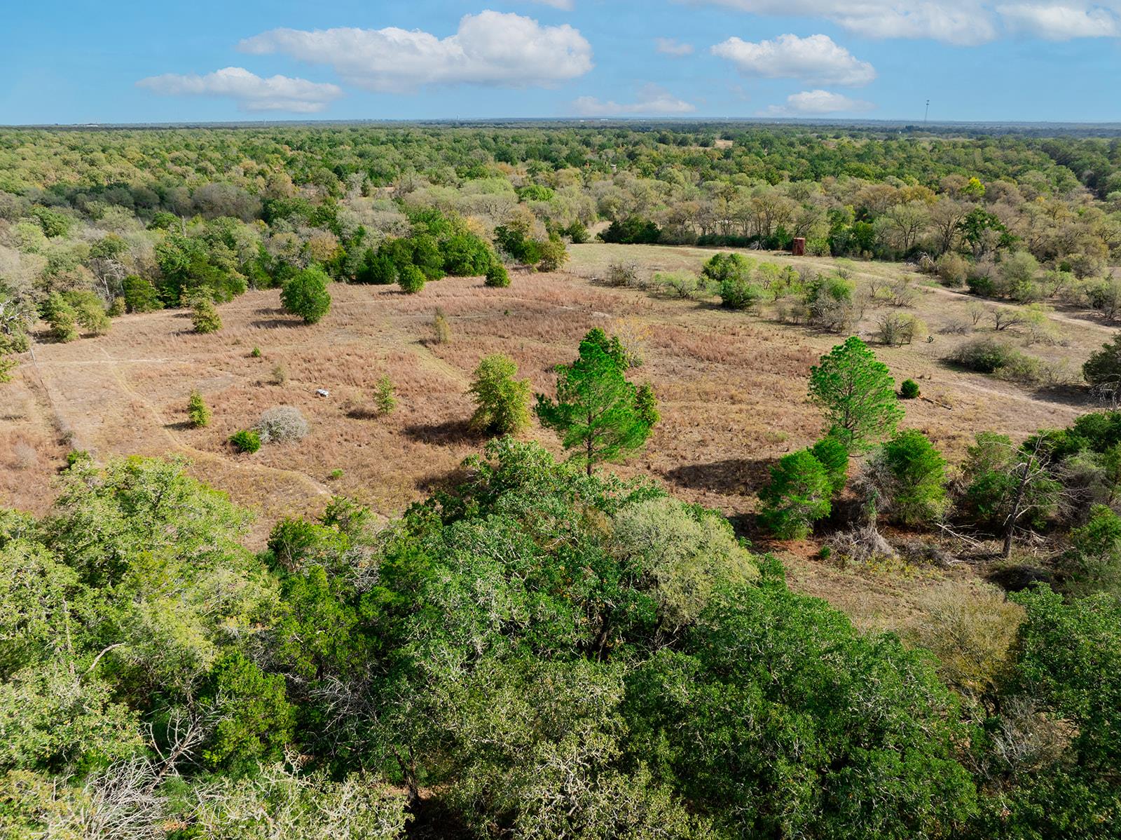 164 Bull Run Rd, Cedar Creek, TX 78612