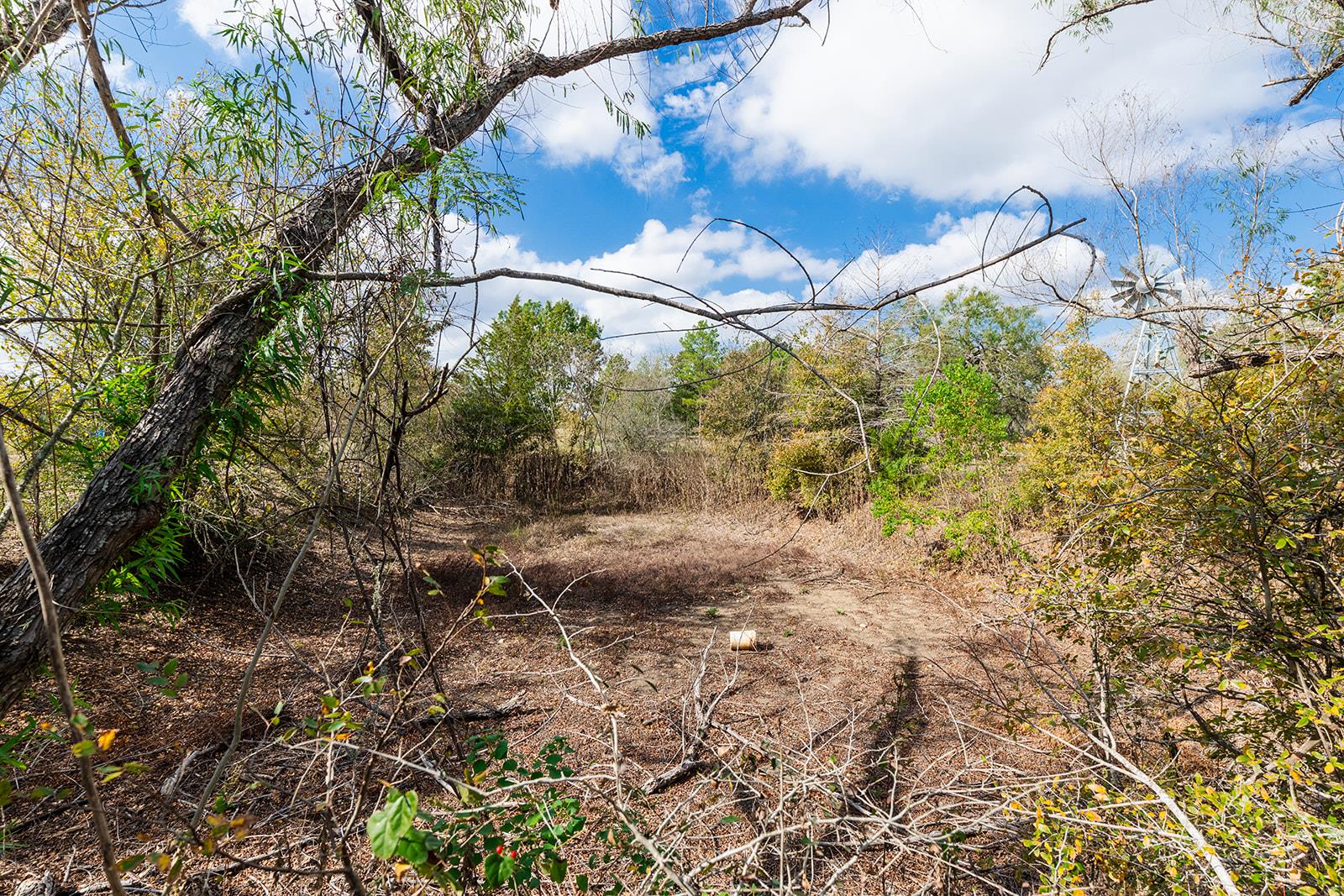 164 Bull Run Rd, Cedar Creek, TX 78612