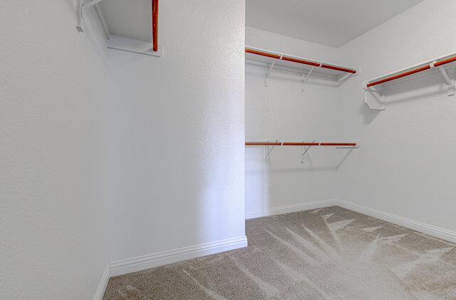 3900 Belmont Stables Ln, Austin, TX 78728