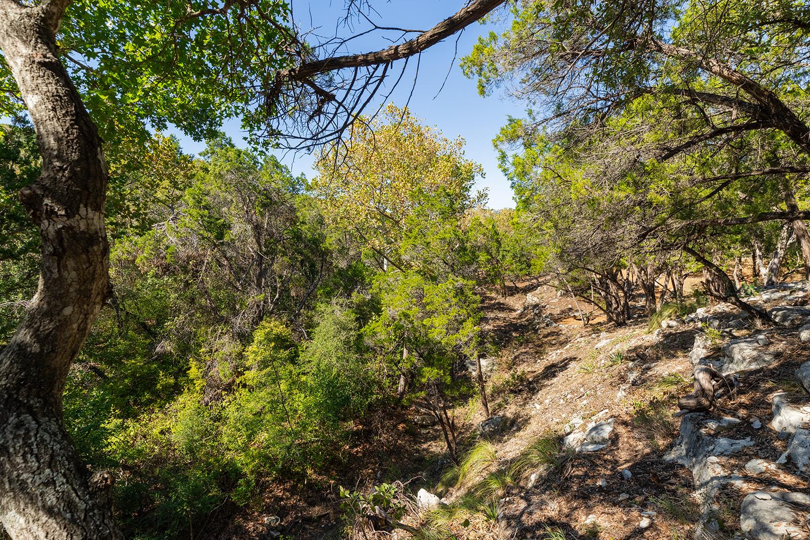 1420 Wild Basin Ledge Ldg, Austin, TX 78746