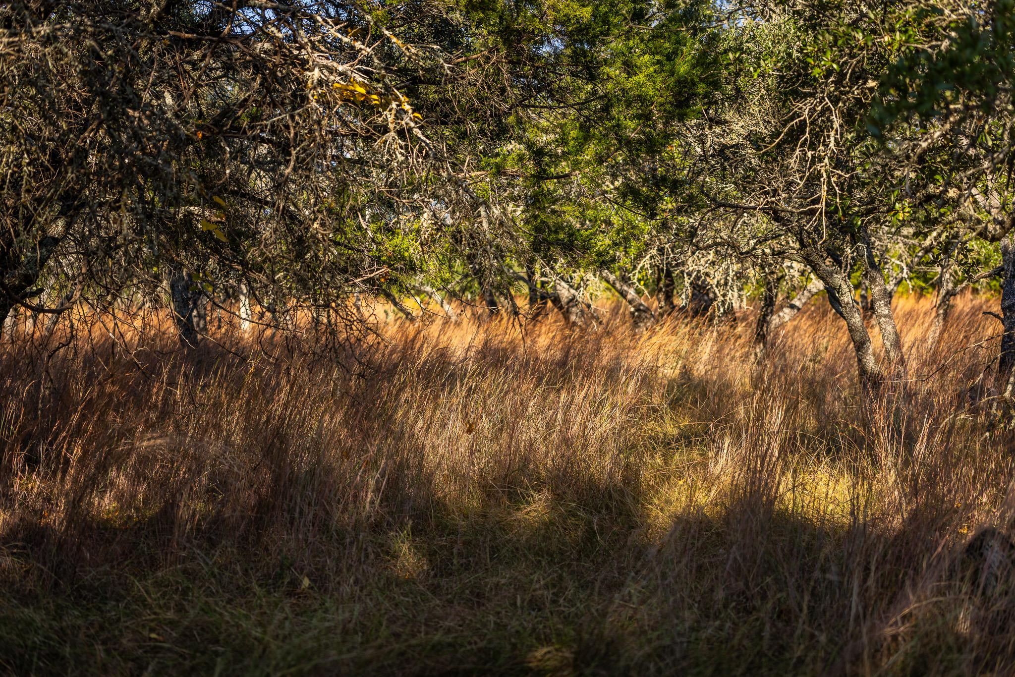 1260 County Road 2001, Lampasas, TX 76550