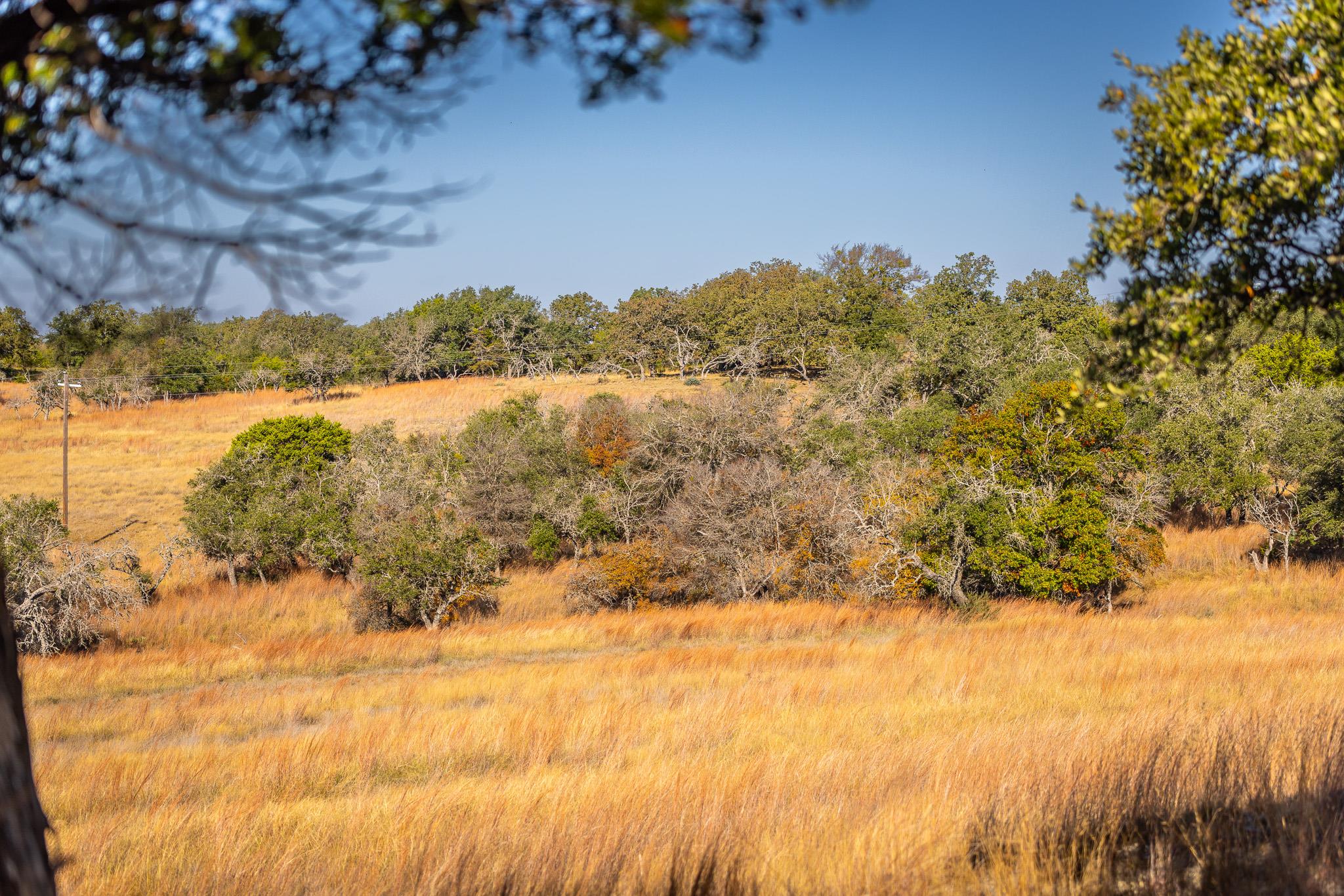 1260 County Road 2001, Lampasas, TX 76550