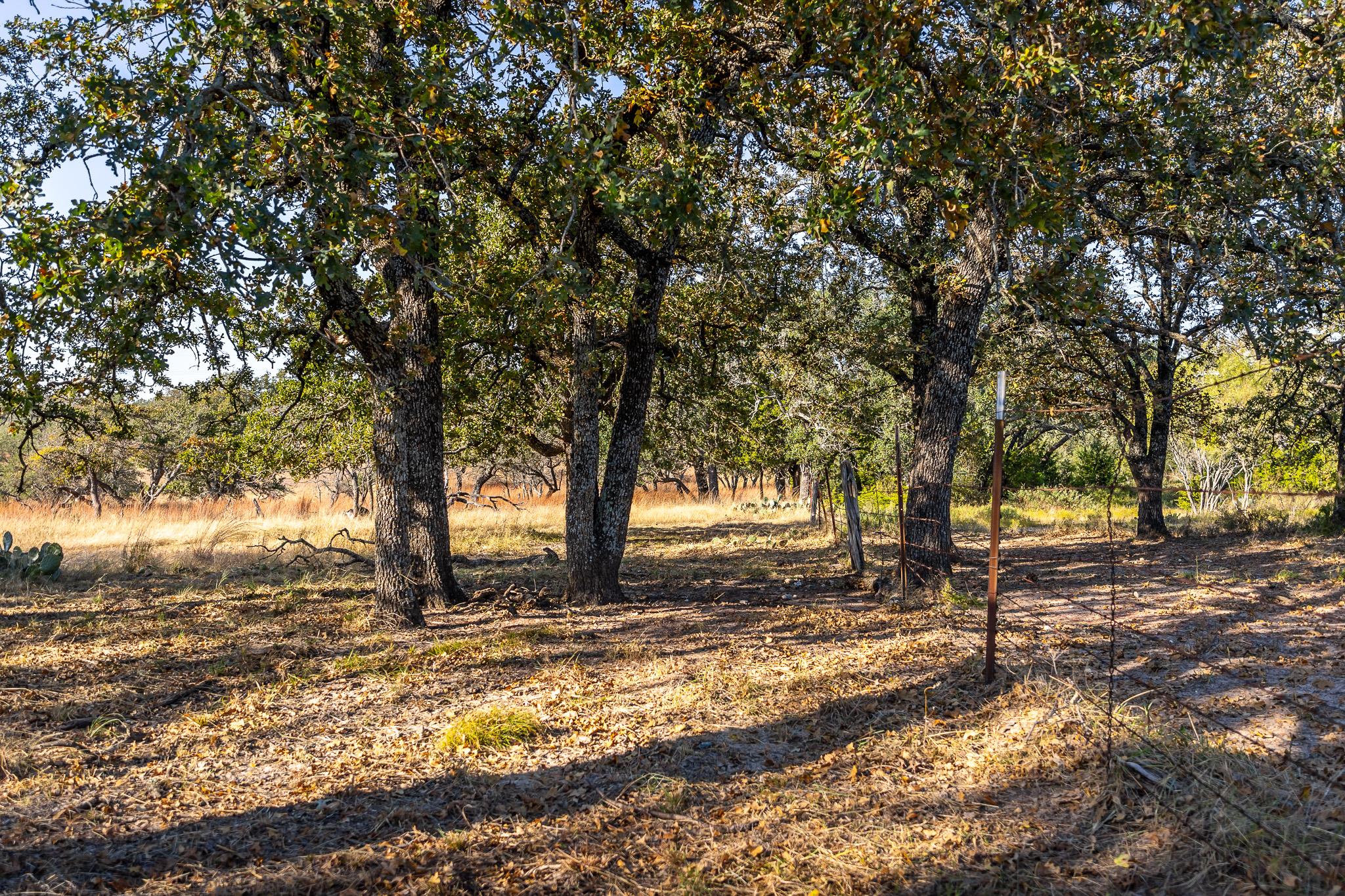 1260 County Road 2001, Lampasas, TX 76550