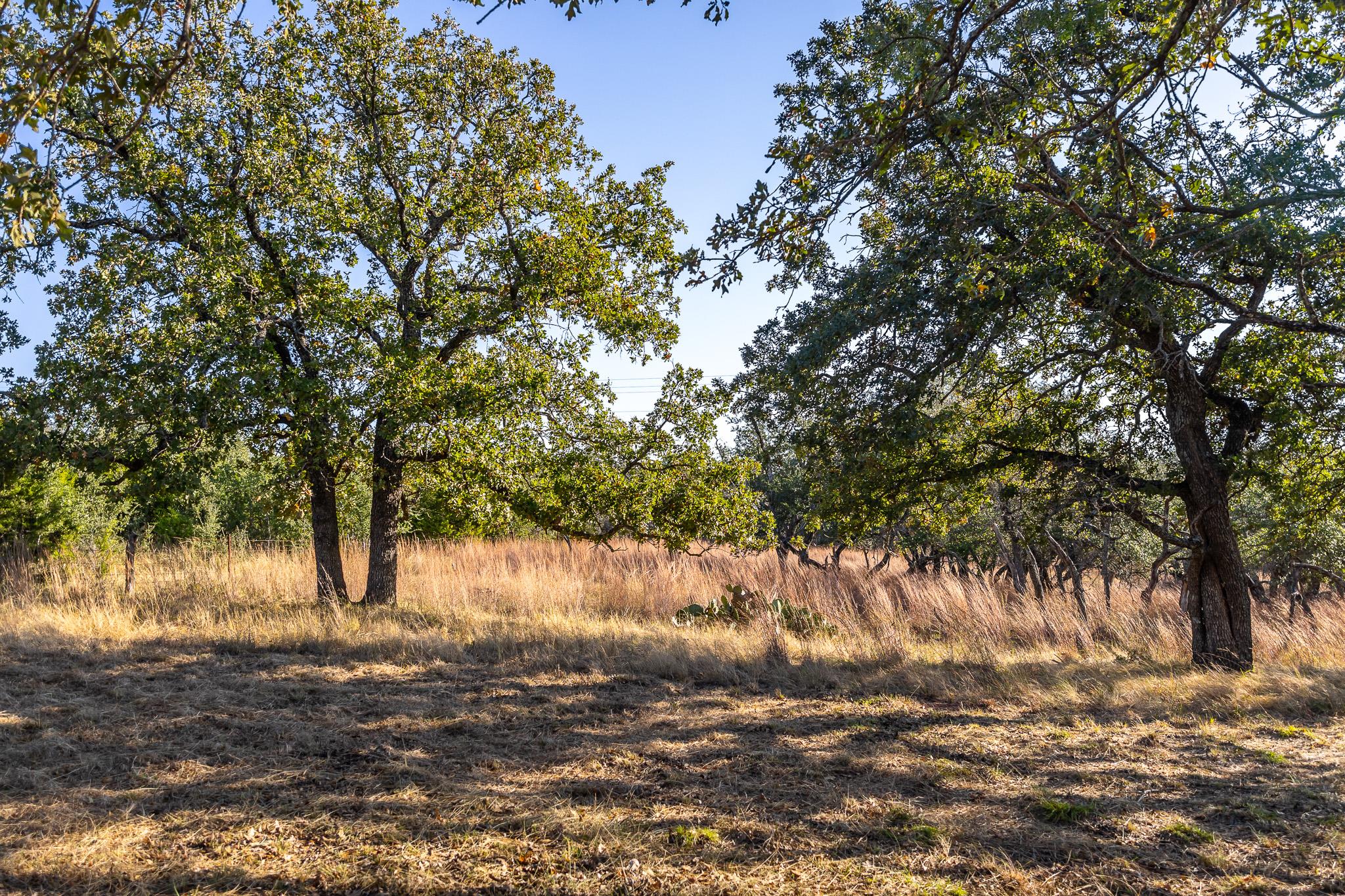 1260 County Road 2001, Lampasas, TX 76550