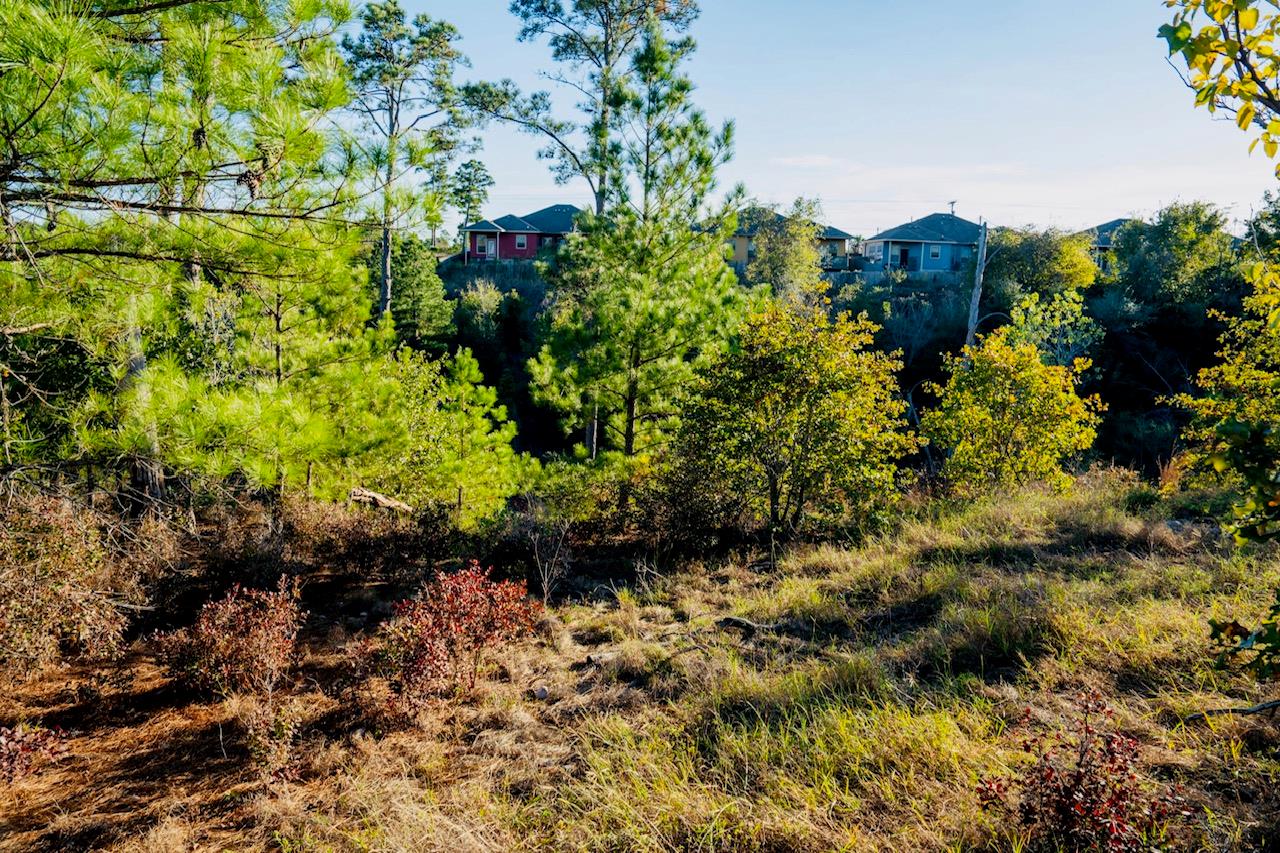 Lot132 Pahala Ct, Bastrop, TX 78602