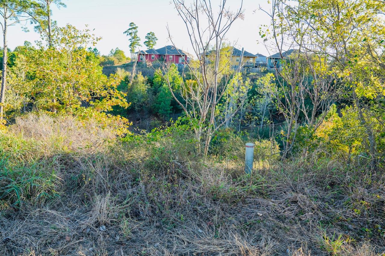 Lot132 Pahala Ct, Bastrop, TX 78602