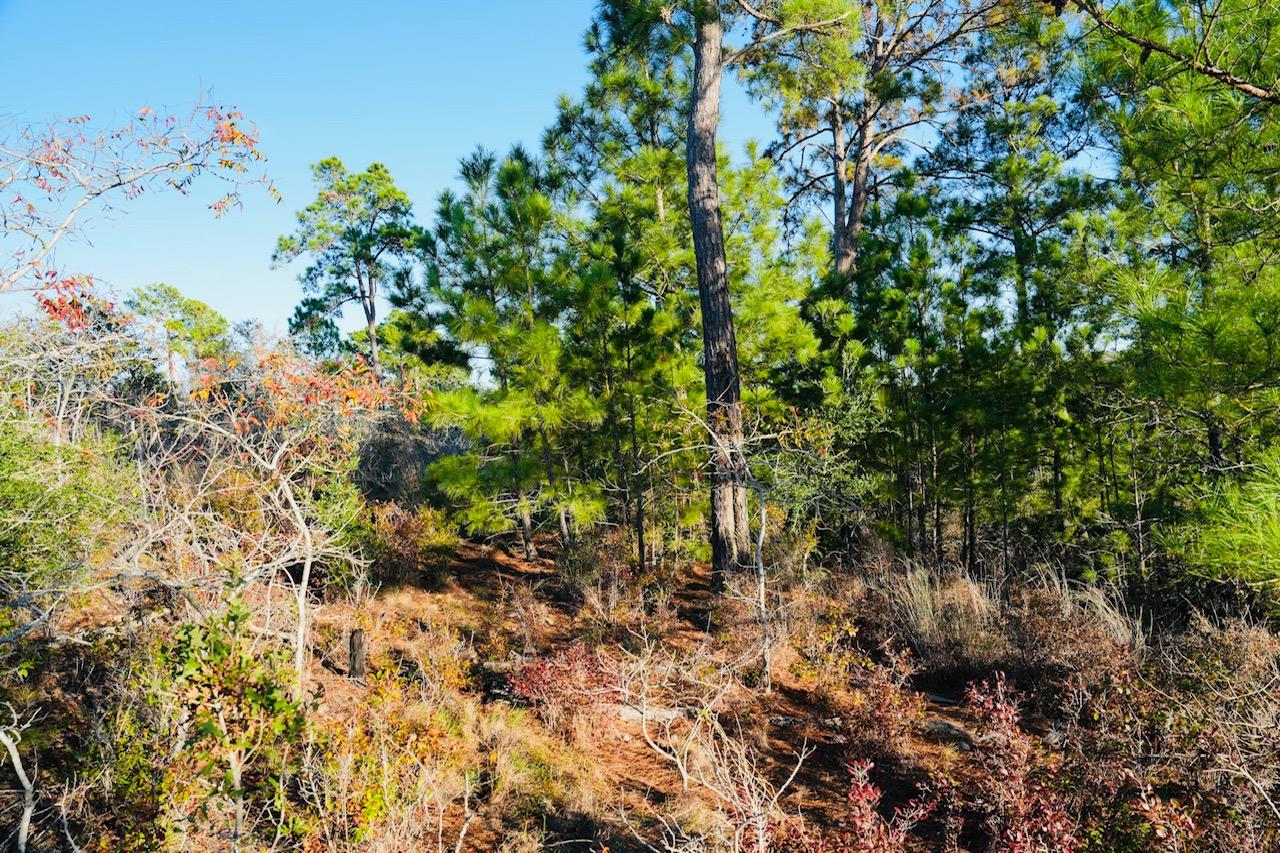 Lot132 Pahala Ct, Bastrop, TX 78602