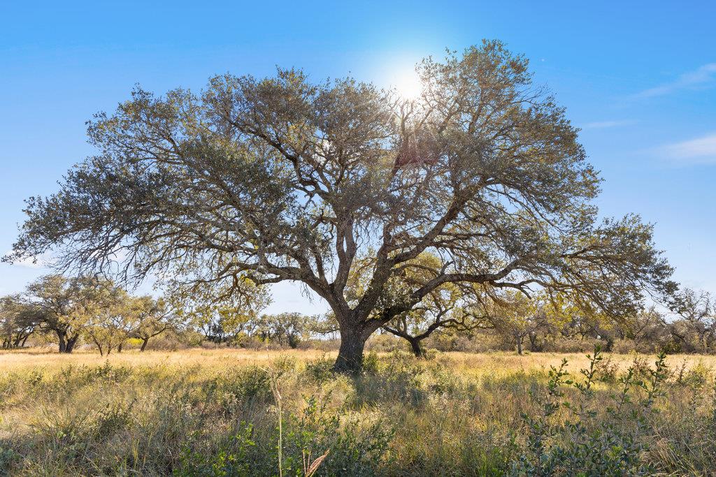 Tract 9 Pedernales Canyon Trail, Spicewood, TX 78669
