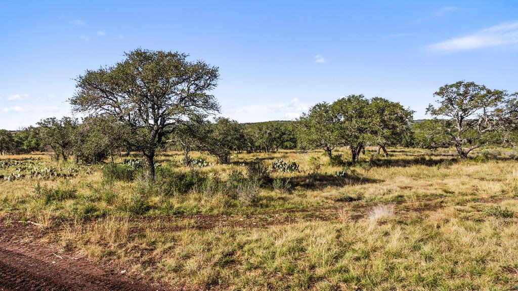 Tract 9 Pedernales Canyon Trail, Spicewood, TX 78669