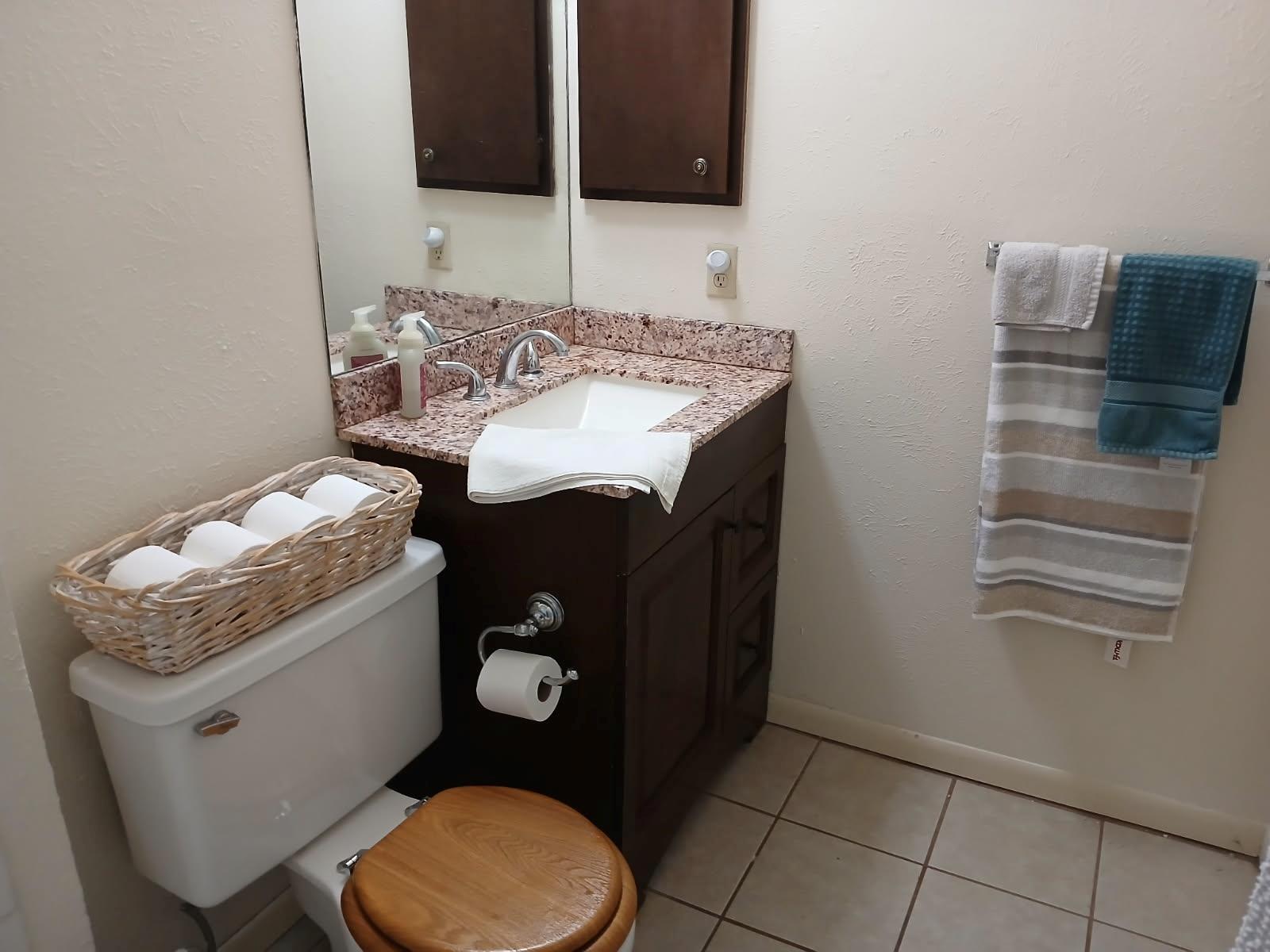 12905 Pegasus St, Austin, TX 78727