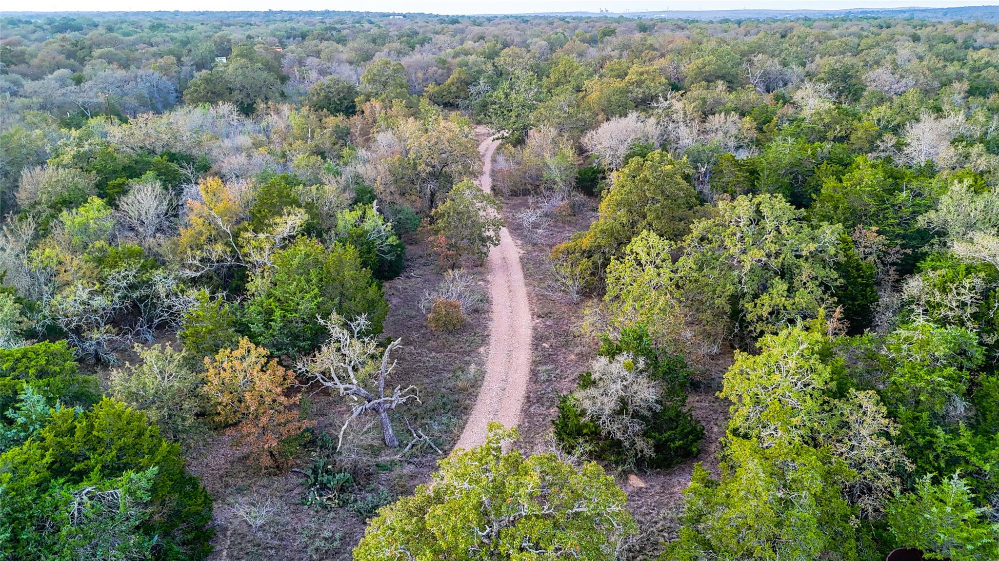 137 Shady Oaks Loop, Cedar Creek, TX 78612