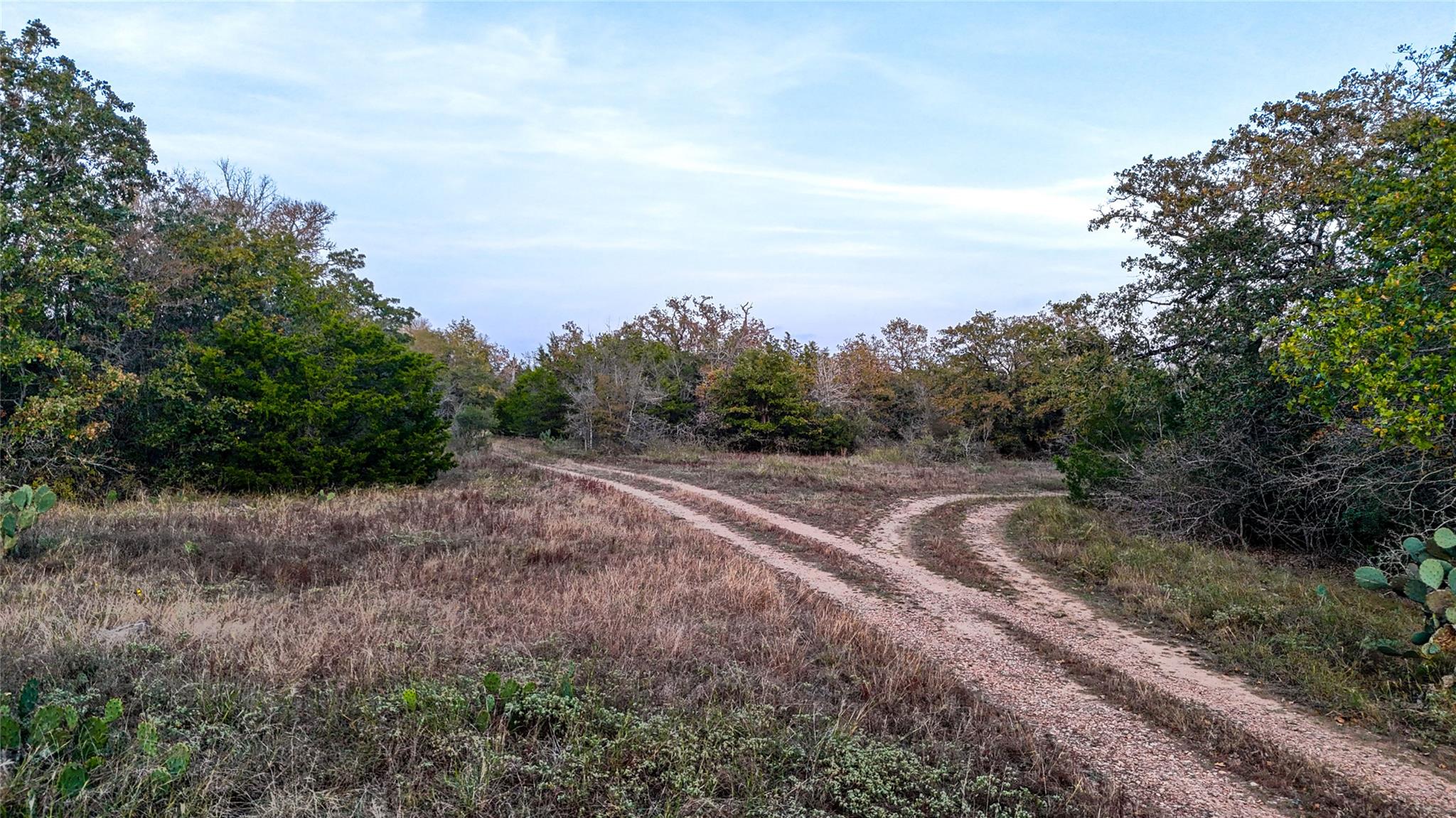 137 Shady Oaks Loop, Cedar Creek, TX 78612