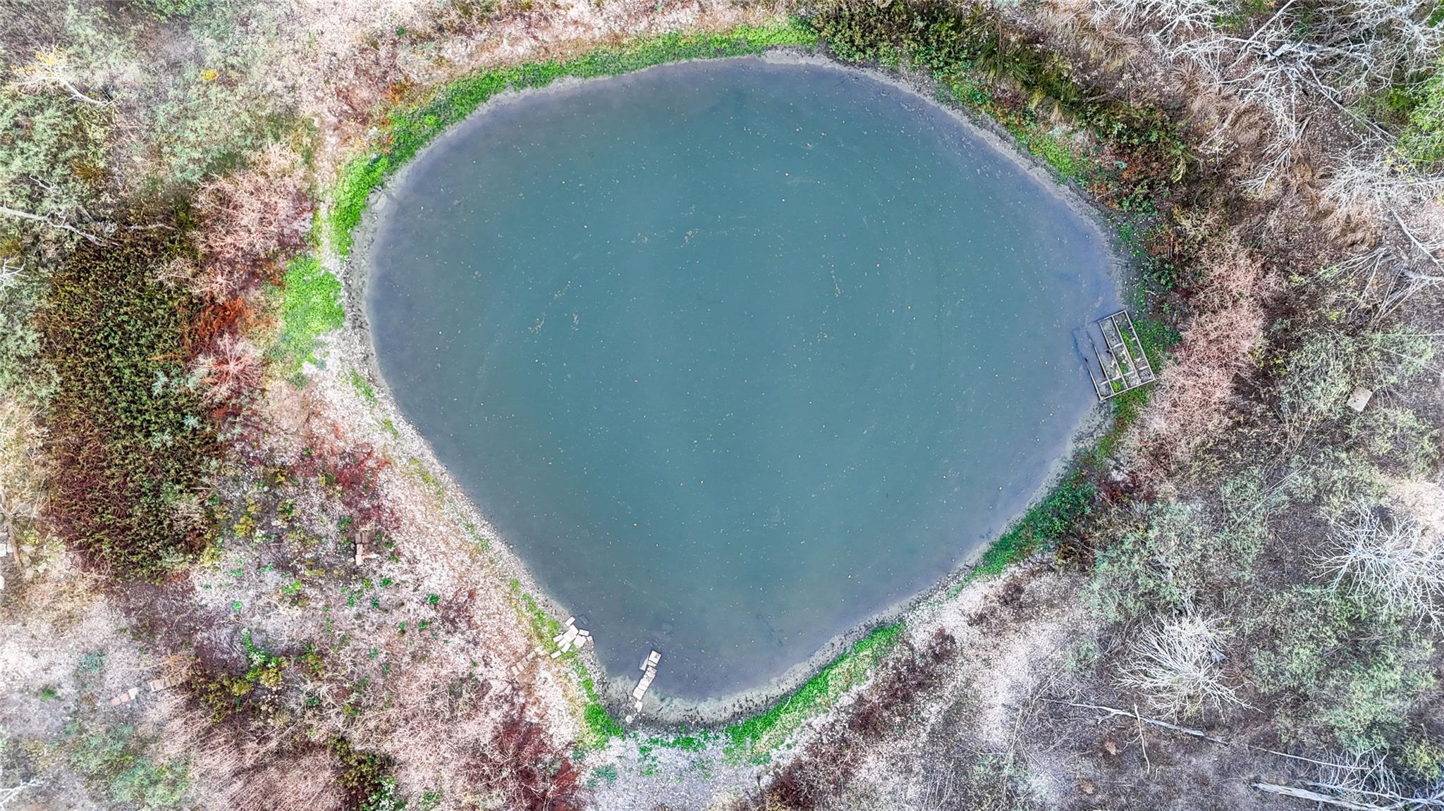 137 Shady Oaks Loop, Cedar Creek, TX 78612