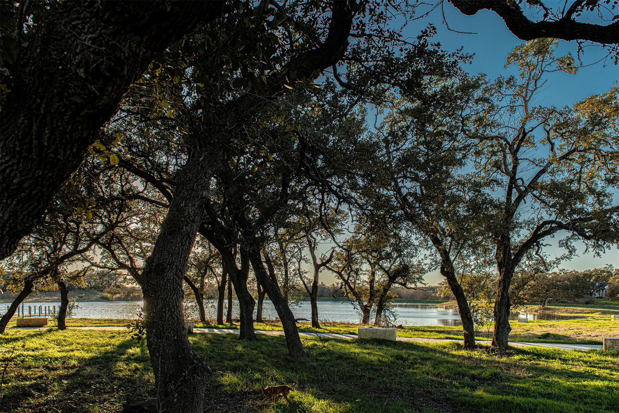 215 Milam Creek Dr, Kyle, TX 78640