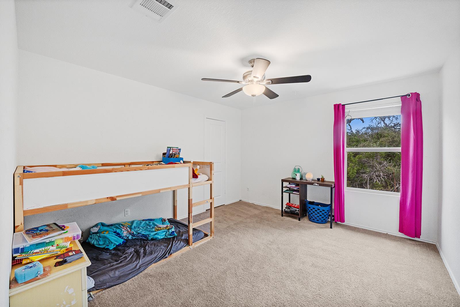 180 Red Buckeye Loop, Liberty Hill, TX 78642