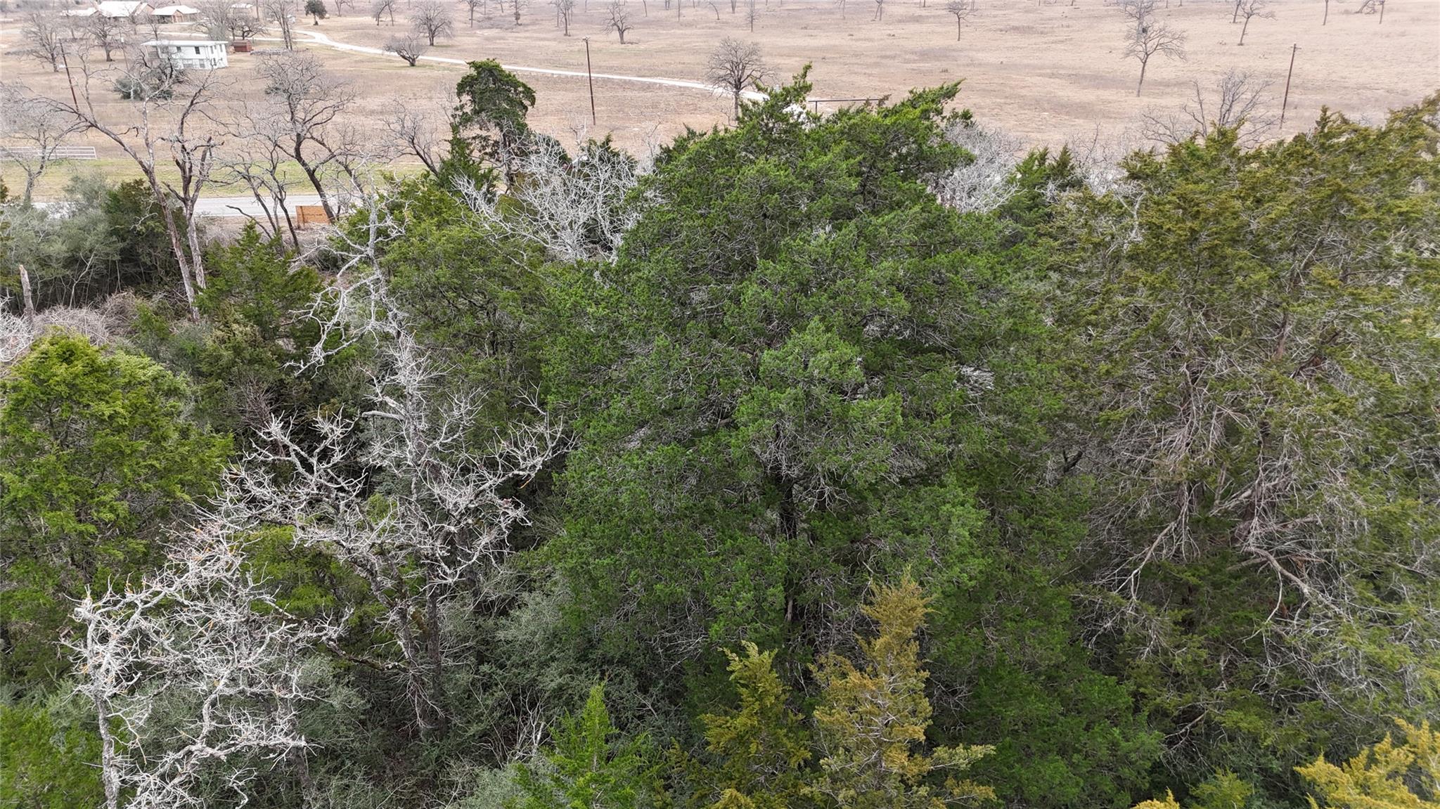 522 FM 713, Rosanky, TX 78953