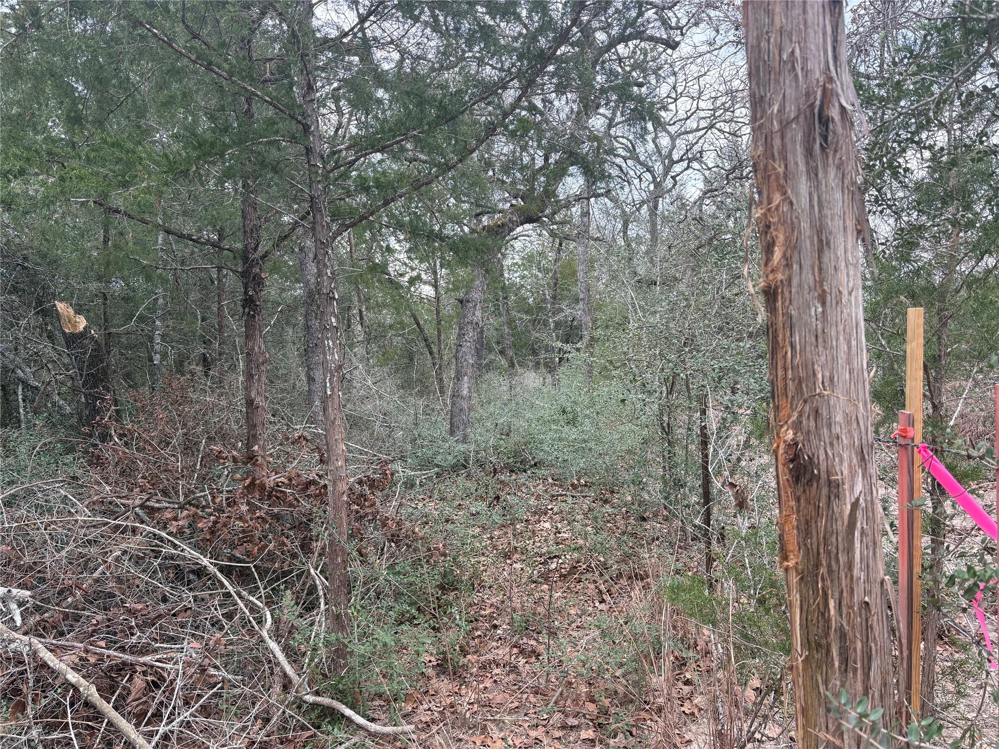 522 FM 713, Rosanky, TX 78953