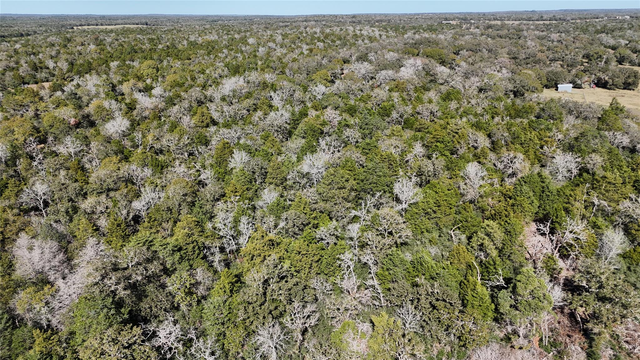 522 FM 713, Rosanky, TX 78953