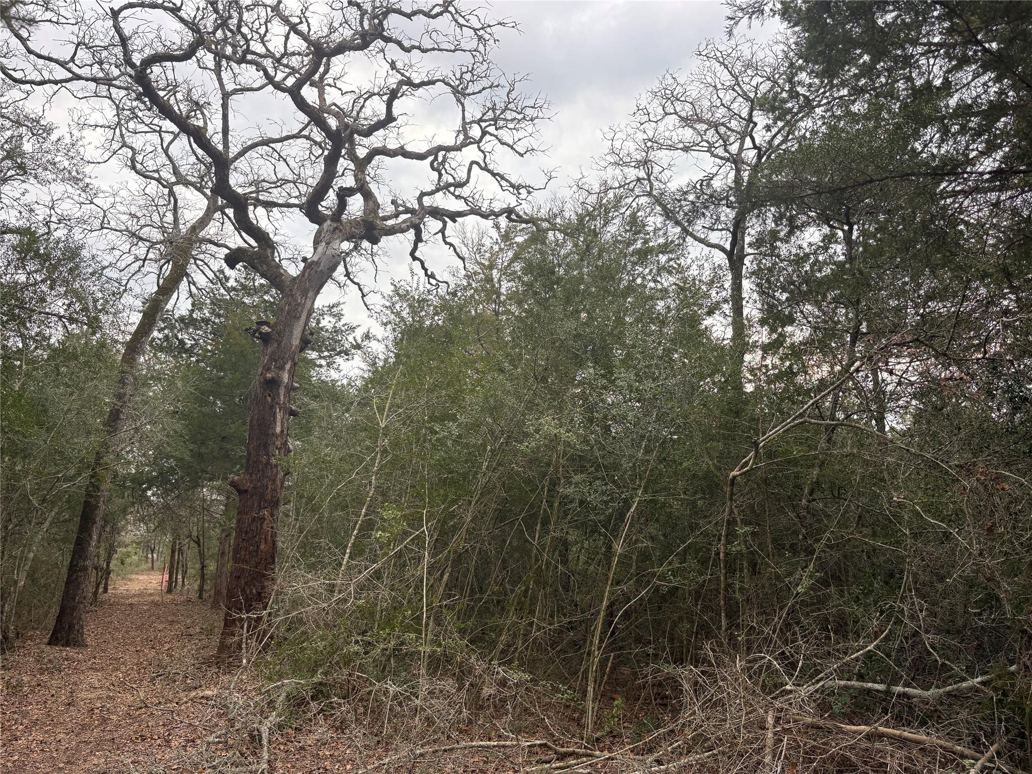 522 FM 713, Rosanky, TX 78953