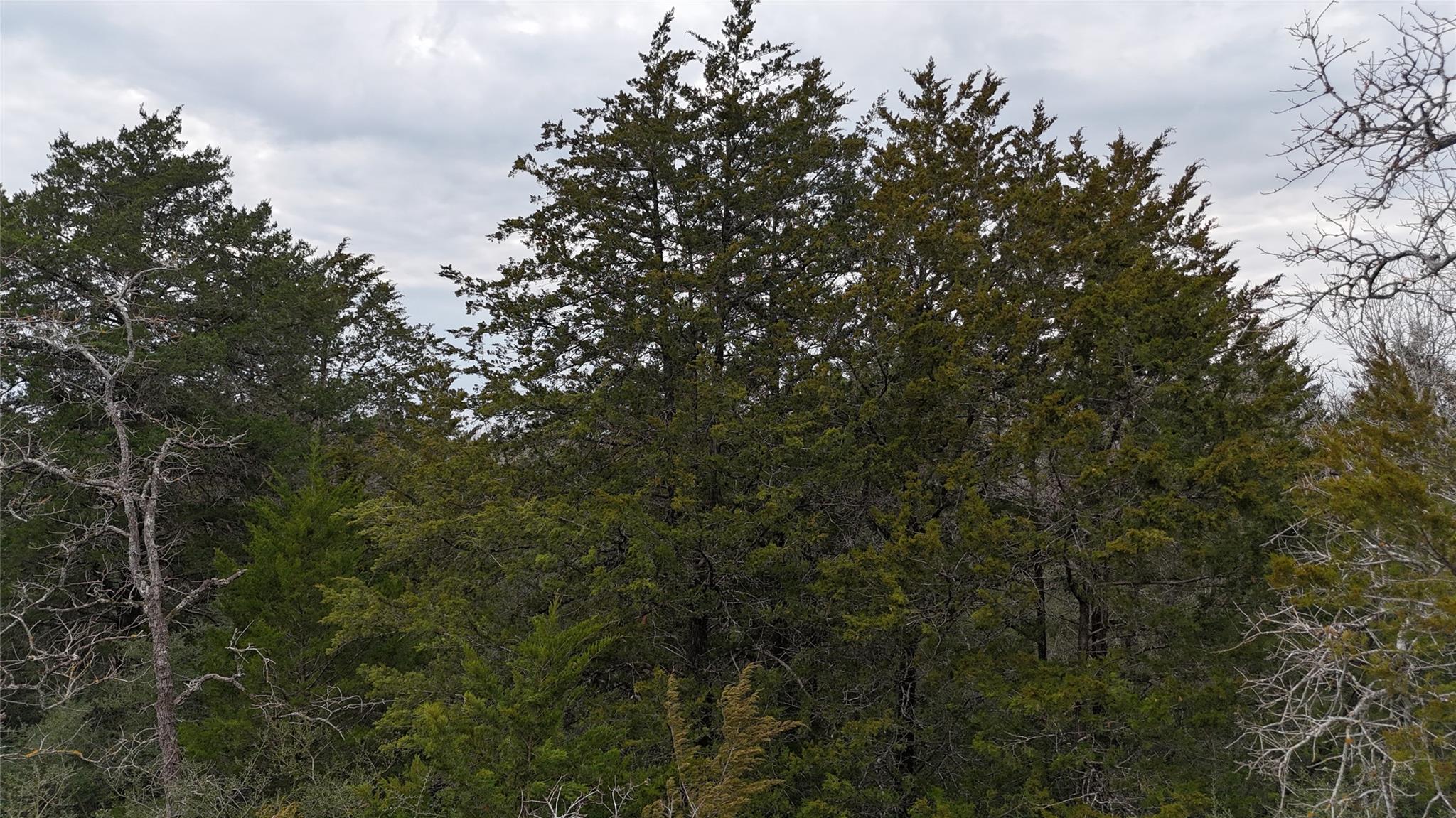 522 FM 713, Rosanky, TX 78953