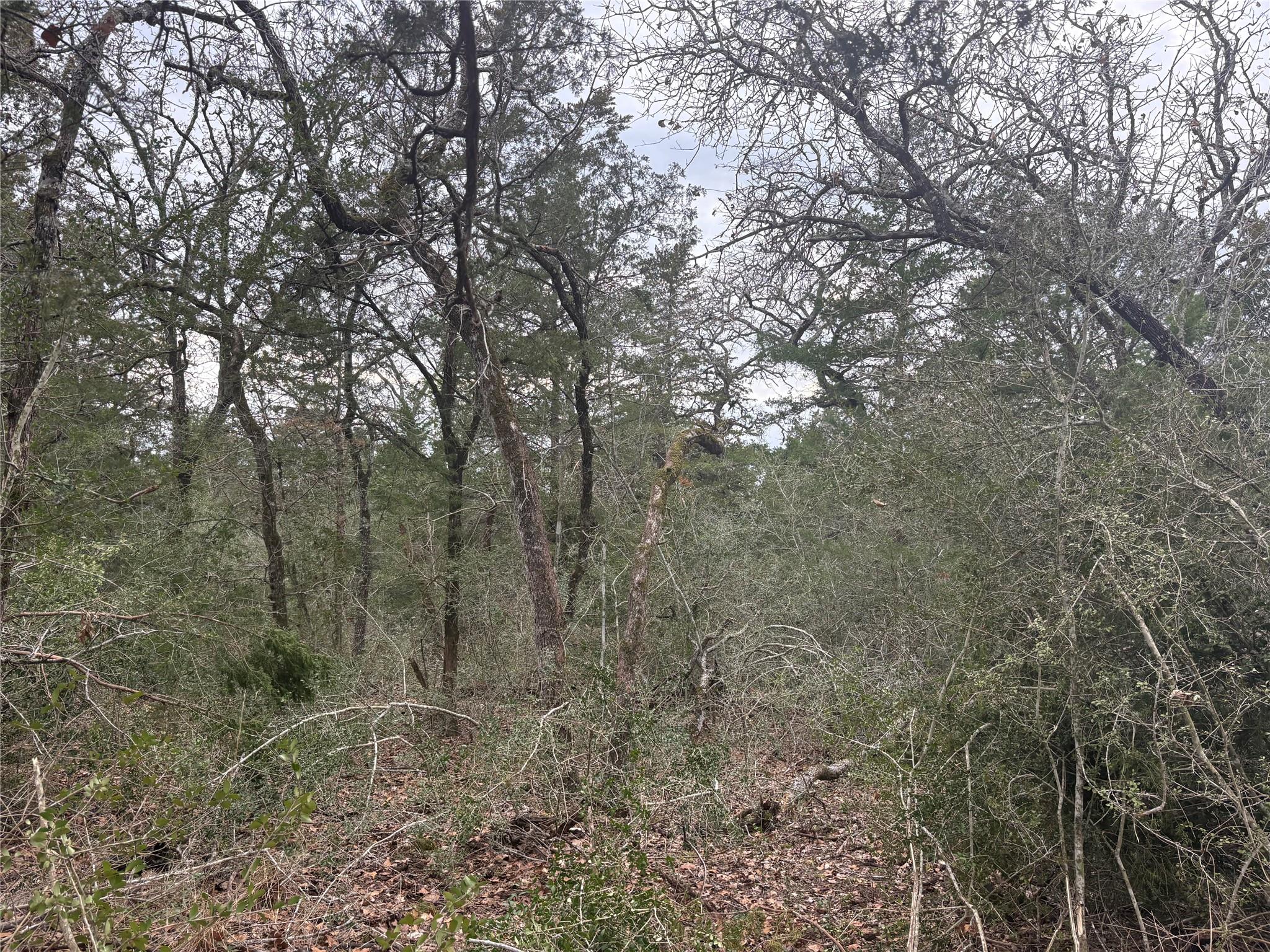 522 FM 713, Rosanky, TX 78953