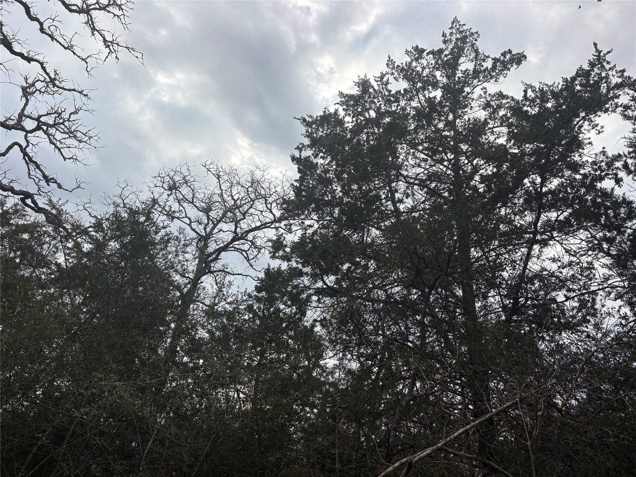 522 FM 713, Rosanky, TX 78953