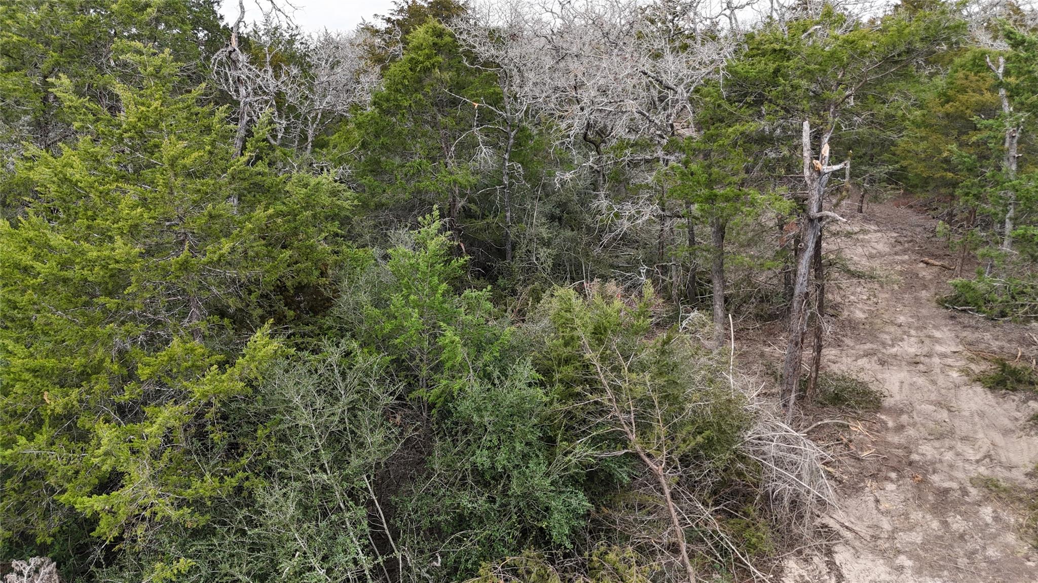 522 FM 713, Rosanky, TX 78953