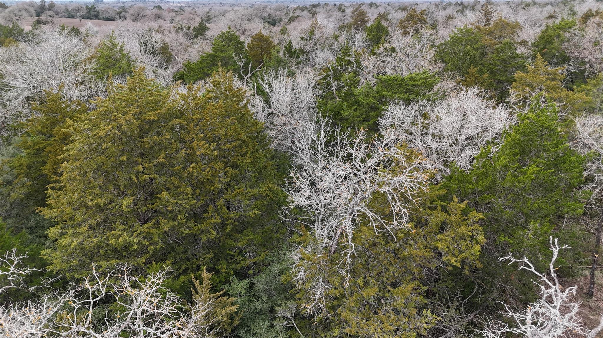 522 FM 713, Rosanky, TX 78953