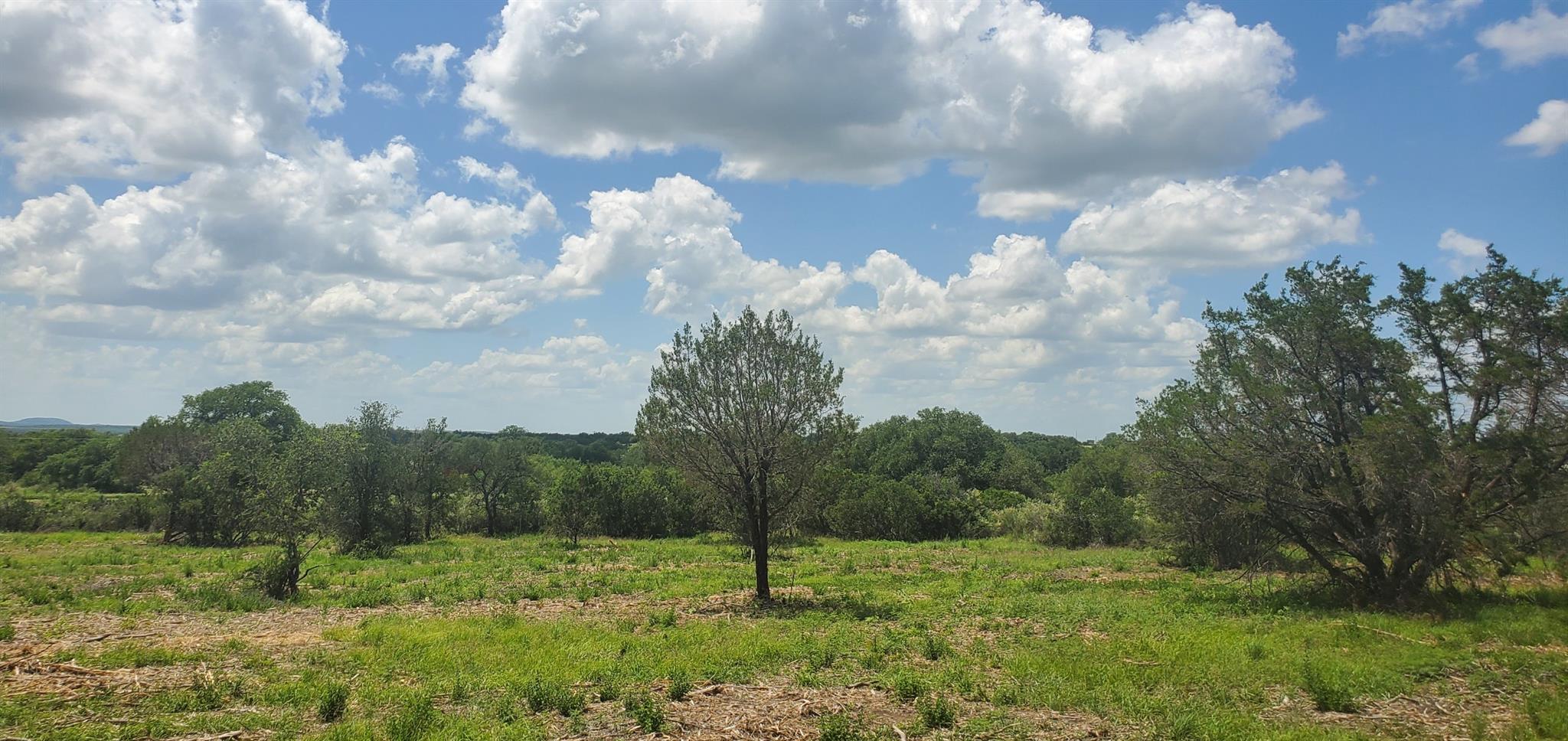 Tract 6 Lehne Loop, Buchanan Dam, TX 78609