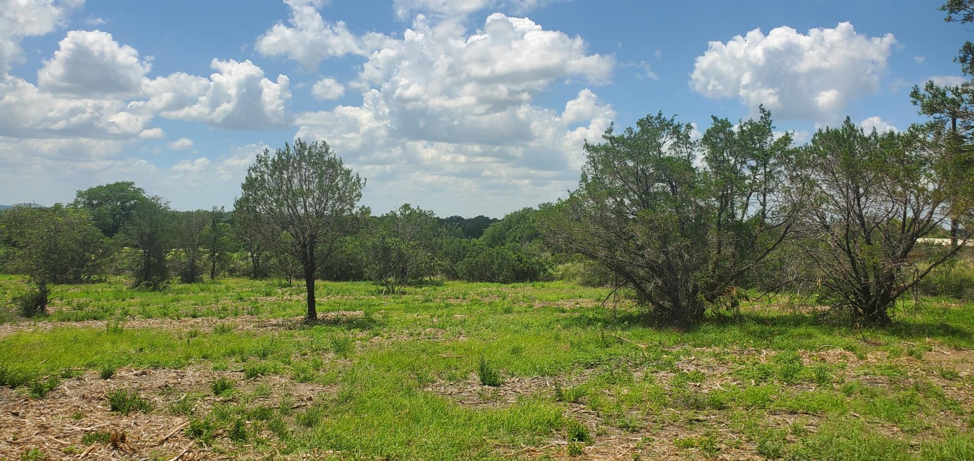 Tract 6 Lehne Loop, Buchanan Dam, TX 78609