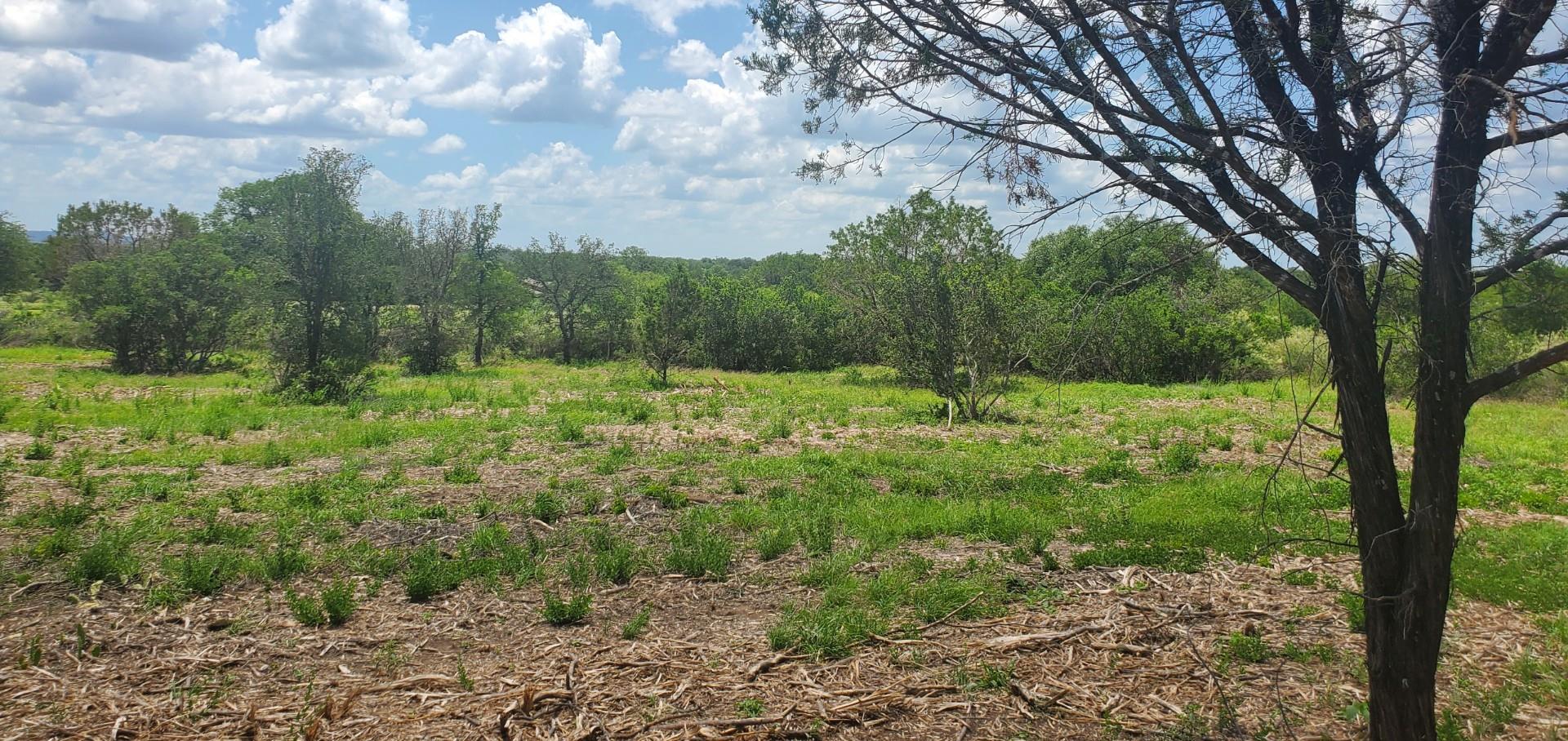 Tract 6 Lehne Loop, Buchanan Dam, TX 78609