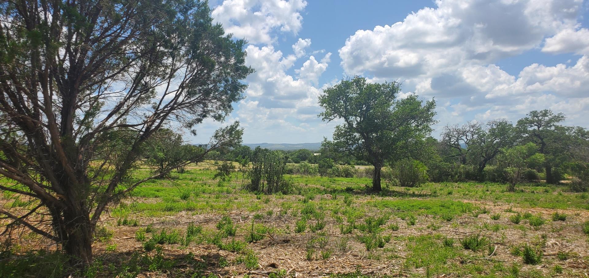 Tract 6 Lehne Loop, Buchanan Dam, TX 78609