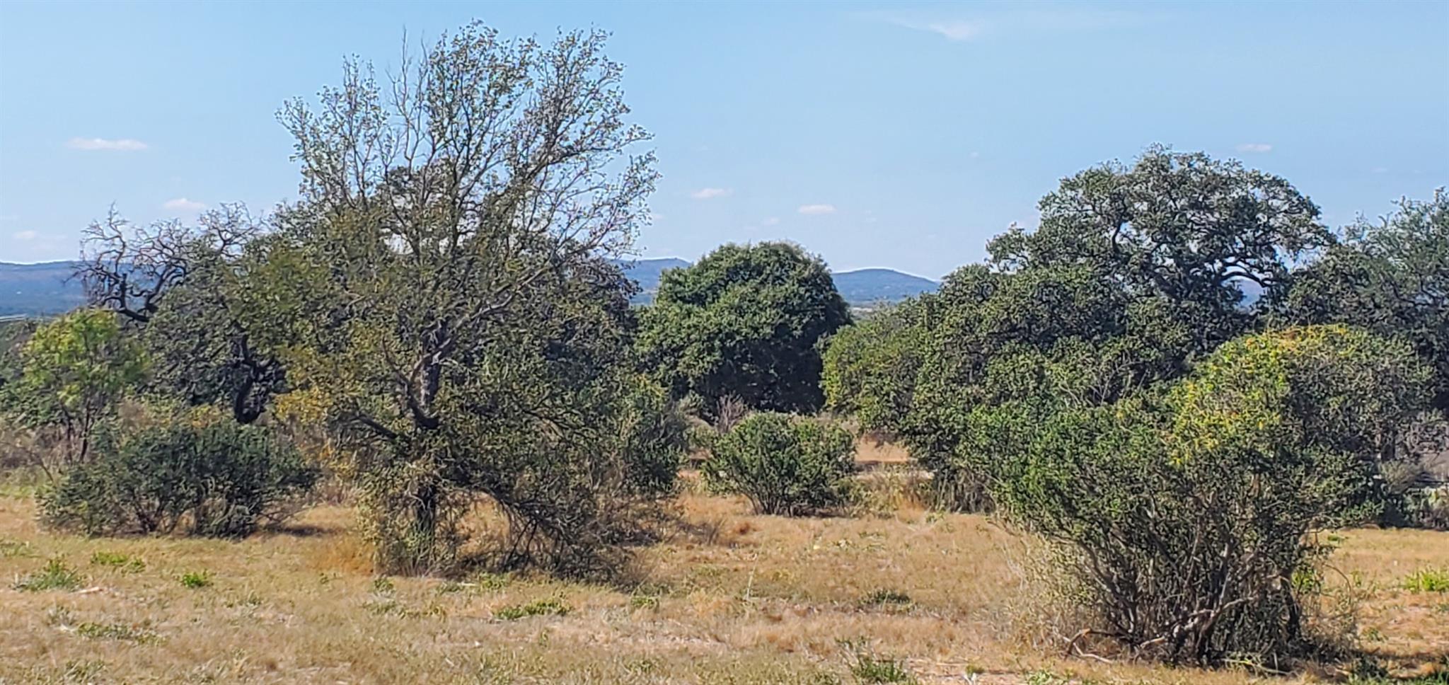 Tract 6 Lehne Loop, Buchanan Dam, TX 78609