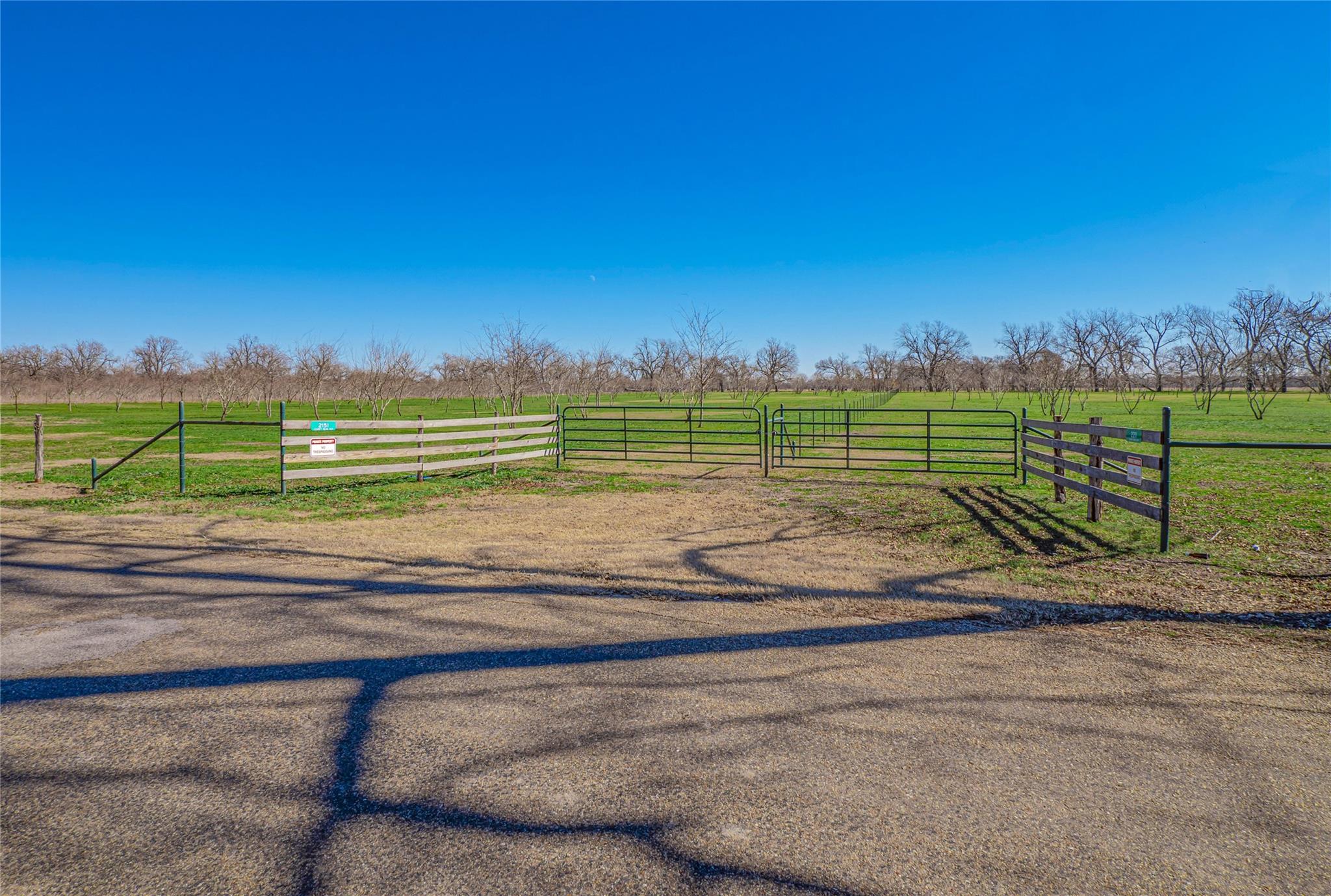 2151 County Rd 429, Rockdale, TX 76567