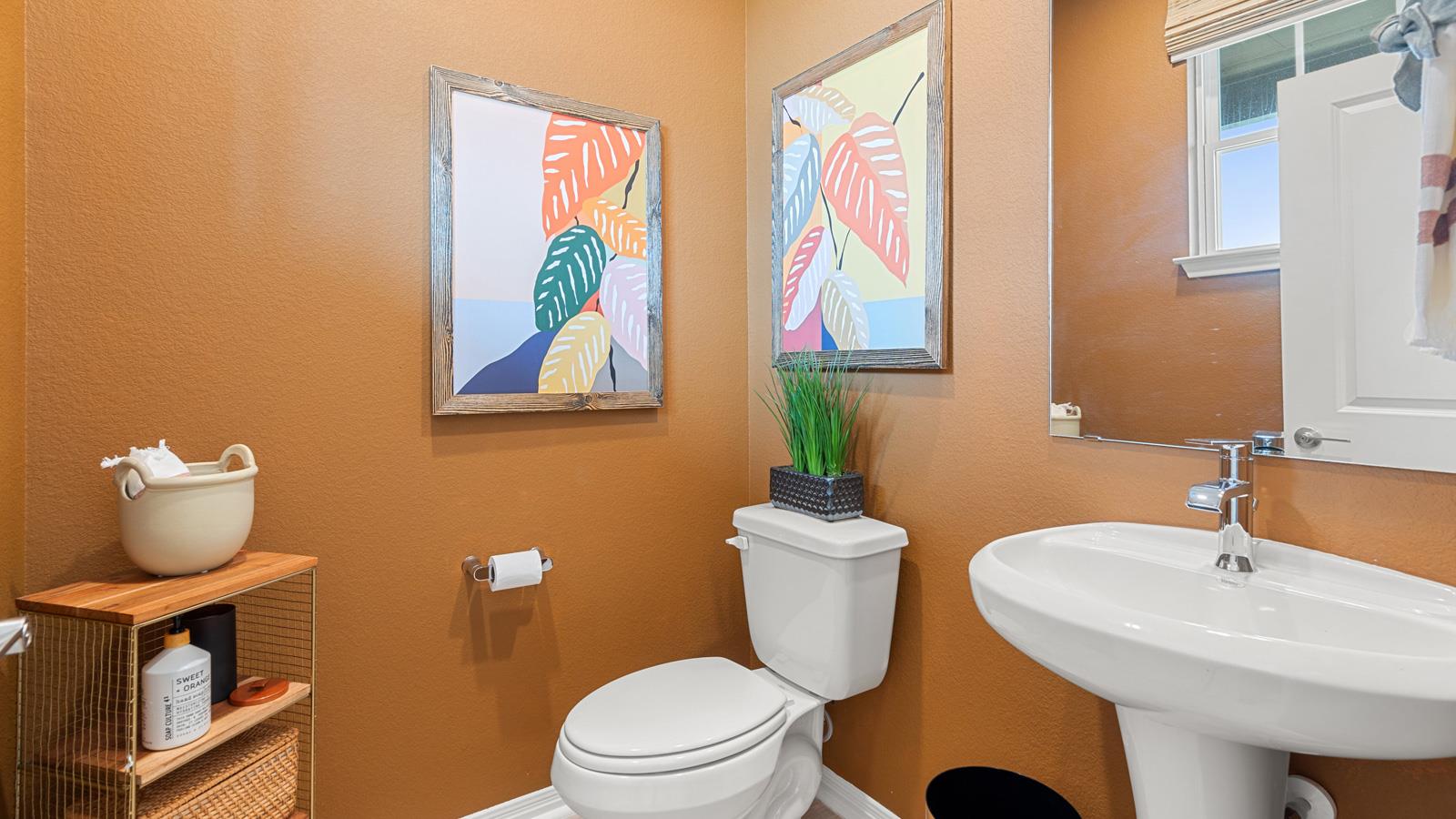 2541 Ophelia Levi Ln, Round Rock, TX 78665