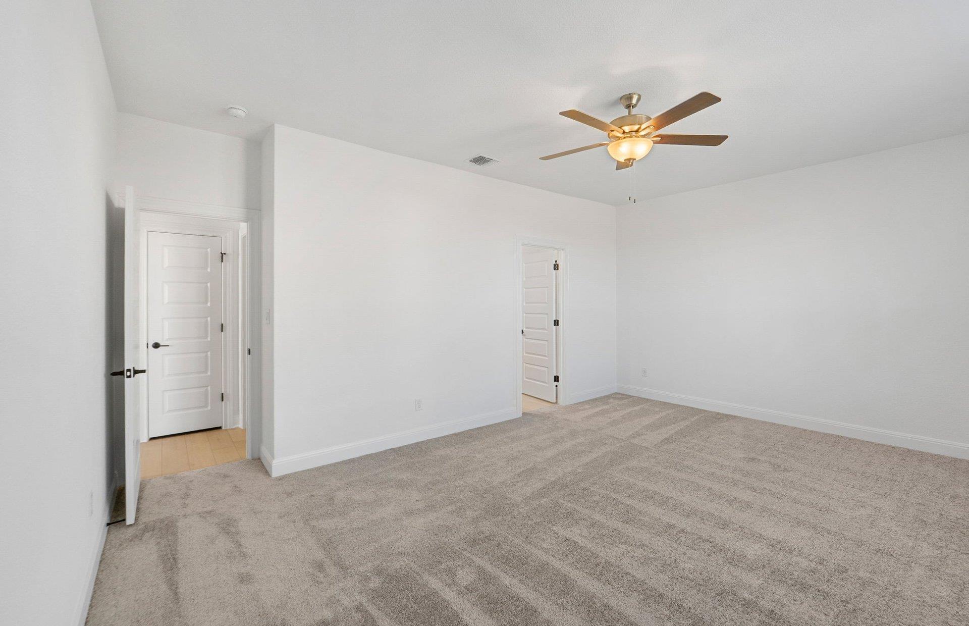 16804 Catemaco Walk, Manor, TX 78653