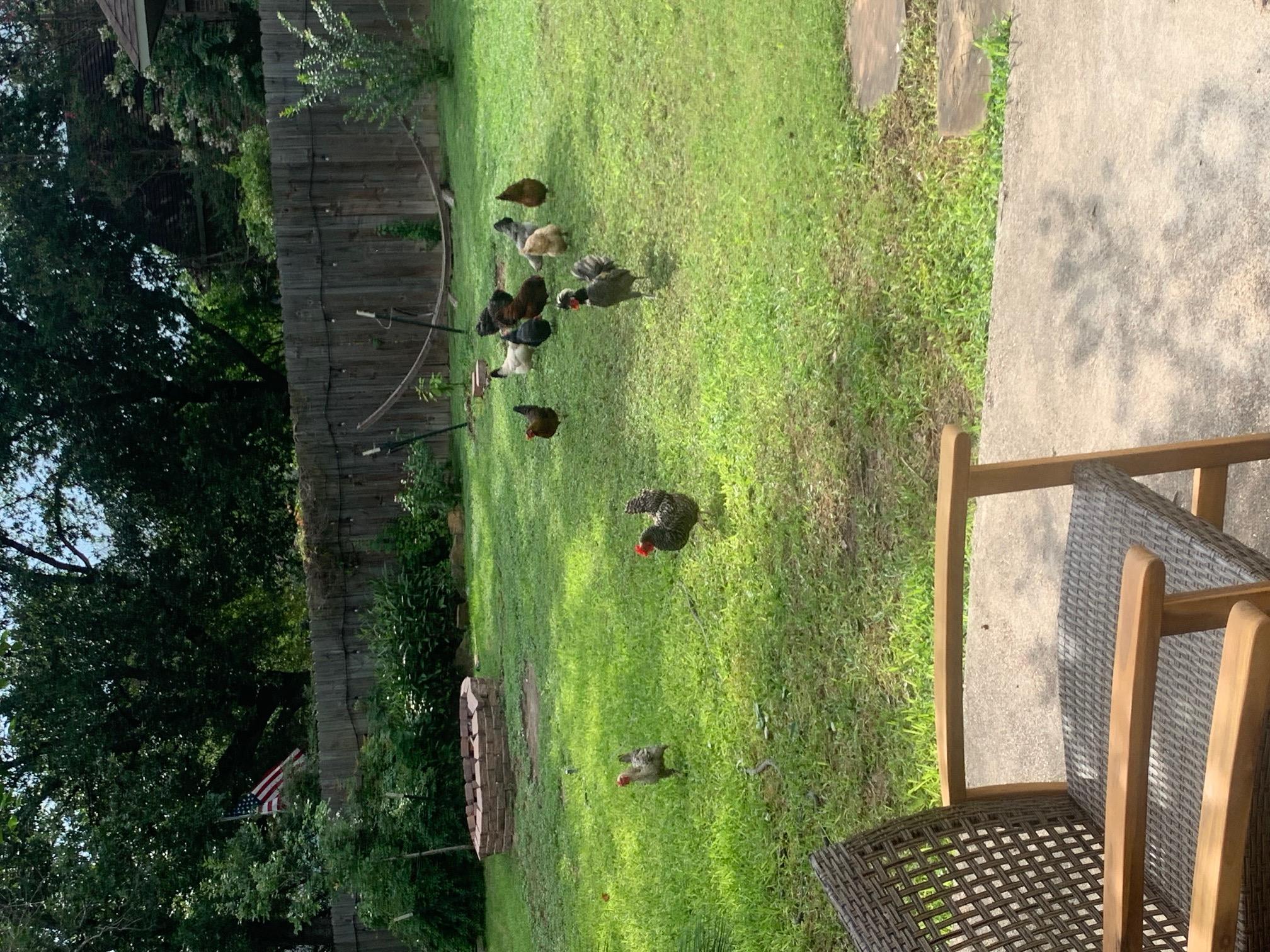 9408 Doliver Dr, Austin, TX 78748