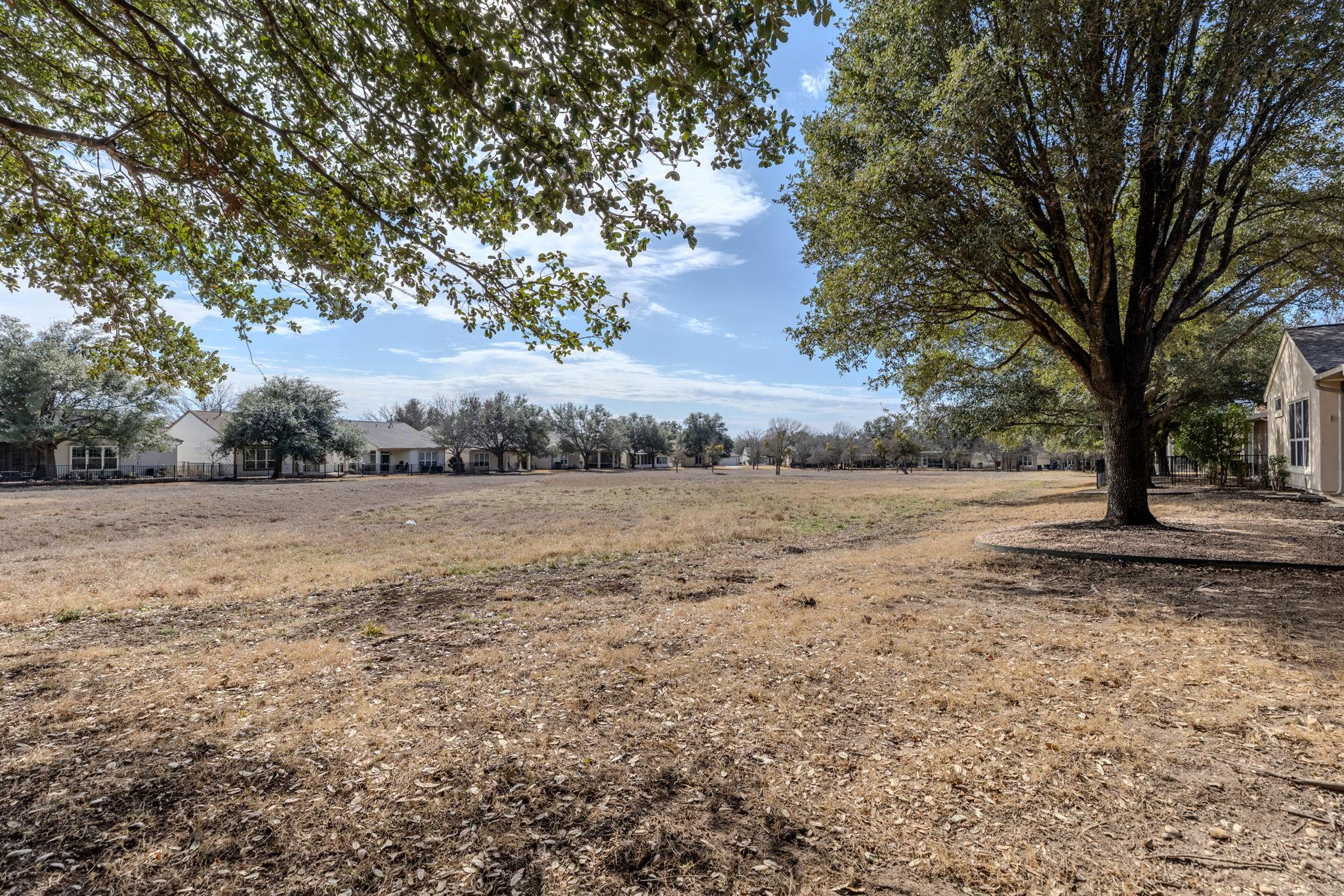 316 Crockett Loop, Georgetown, TX 78633