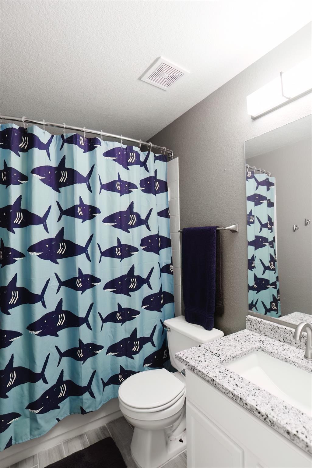 692 Scheel, Kyle, TX 78640