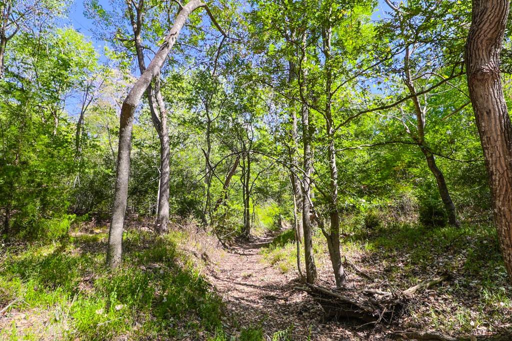 3995 COUNTY ROAD 405, Lexington, TX 78947