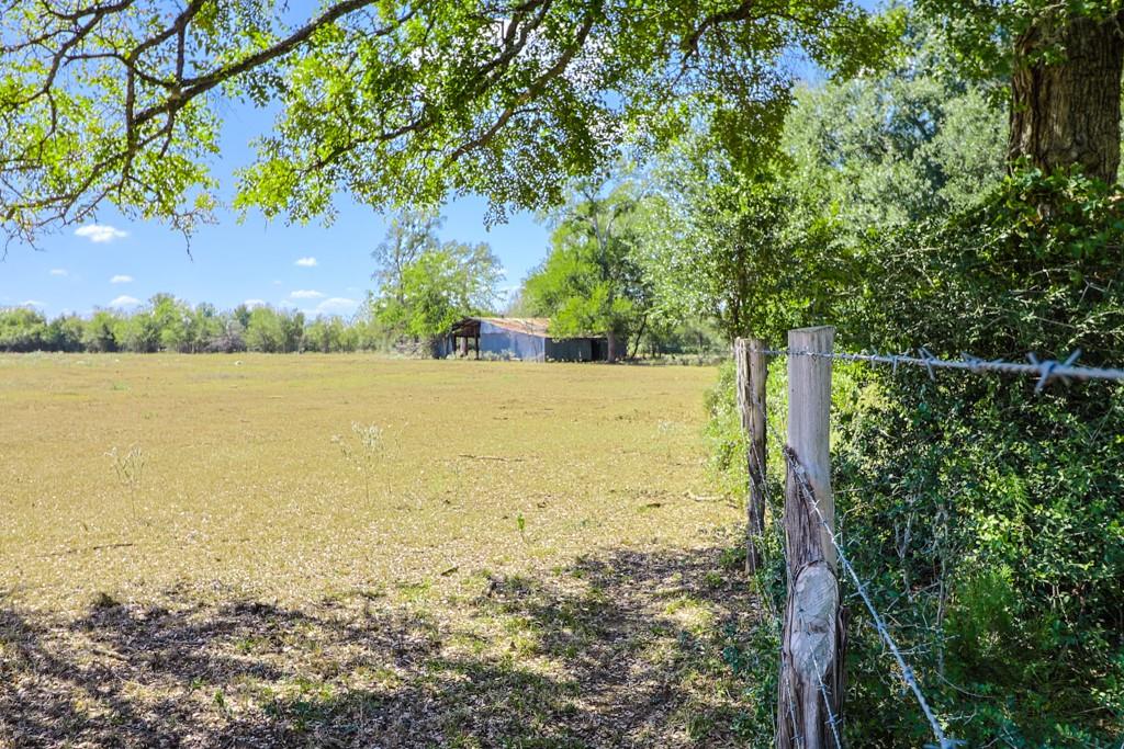 3995 COUNTY ROAD 405, Lexington, TX 78947