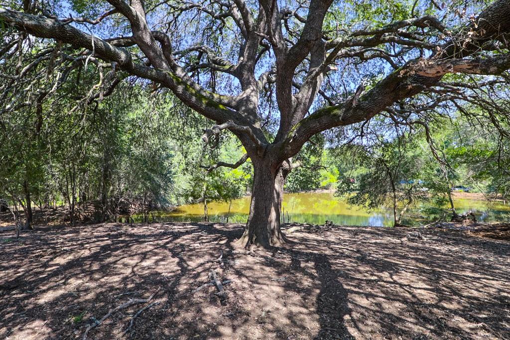 3995 COUNTY ROAD 405, Lexington, TX 78947