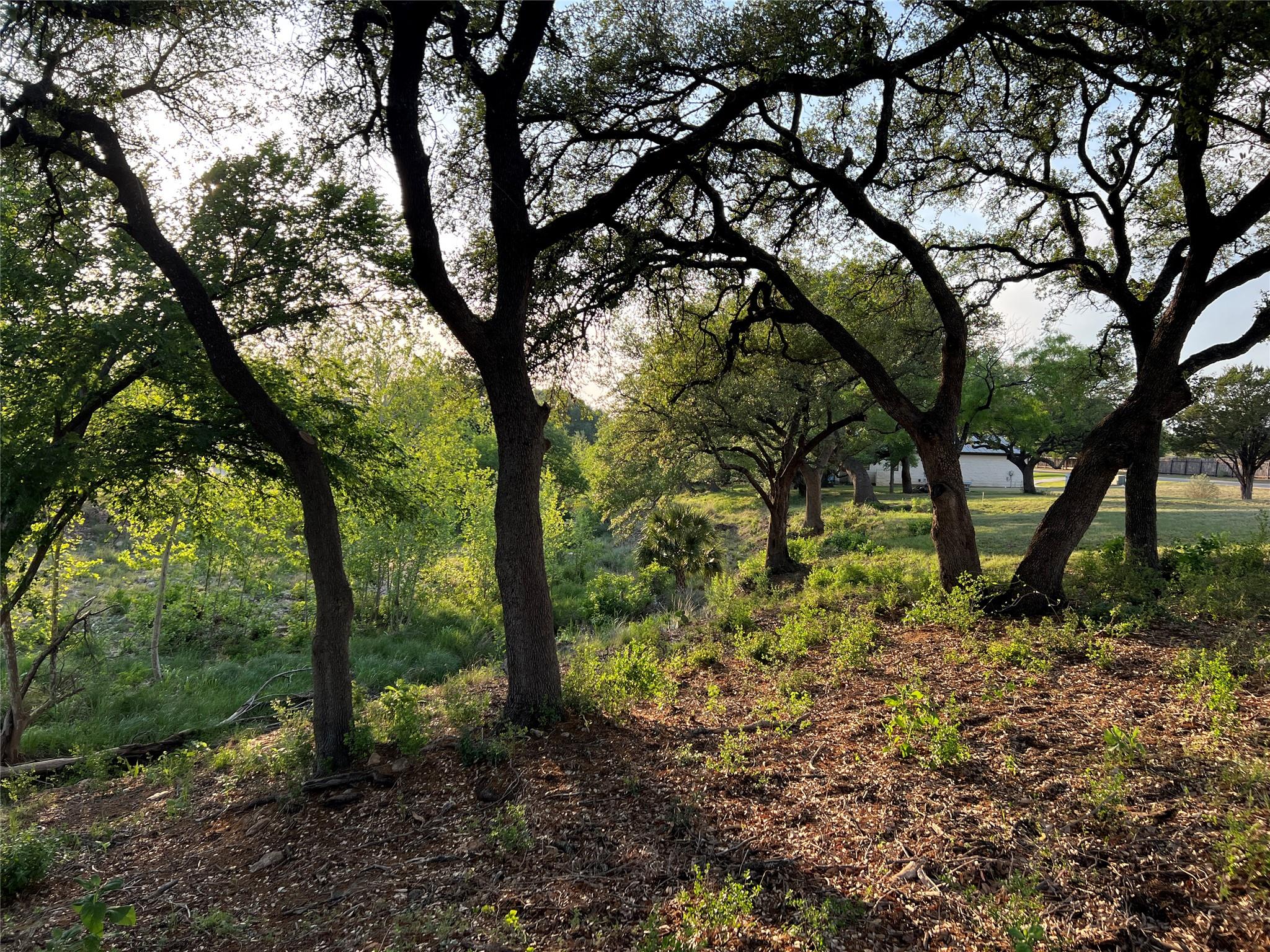 Lot 210 Creek Ln, Horseshoe Bay, TX 78657