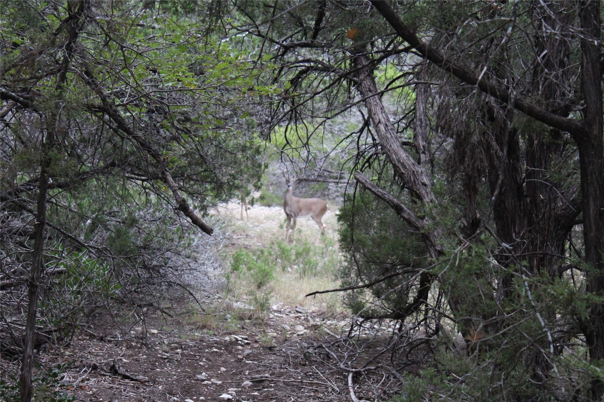 20701 Northland Dr, Lago Vista, TX 78645