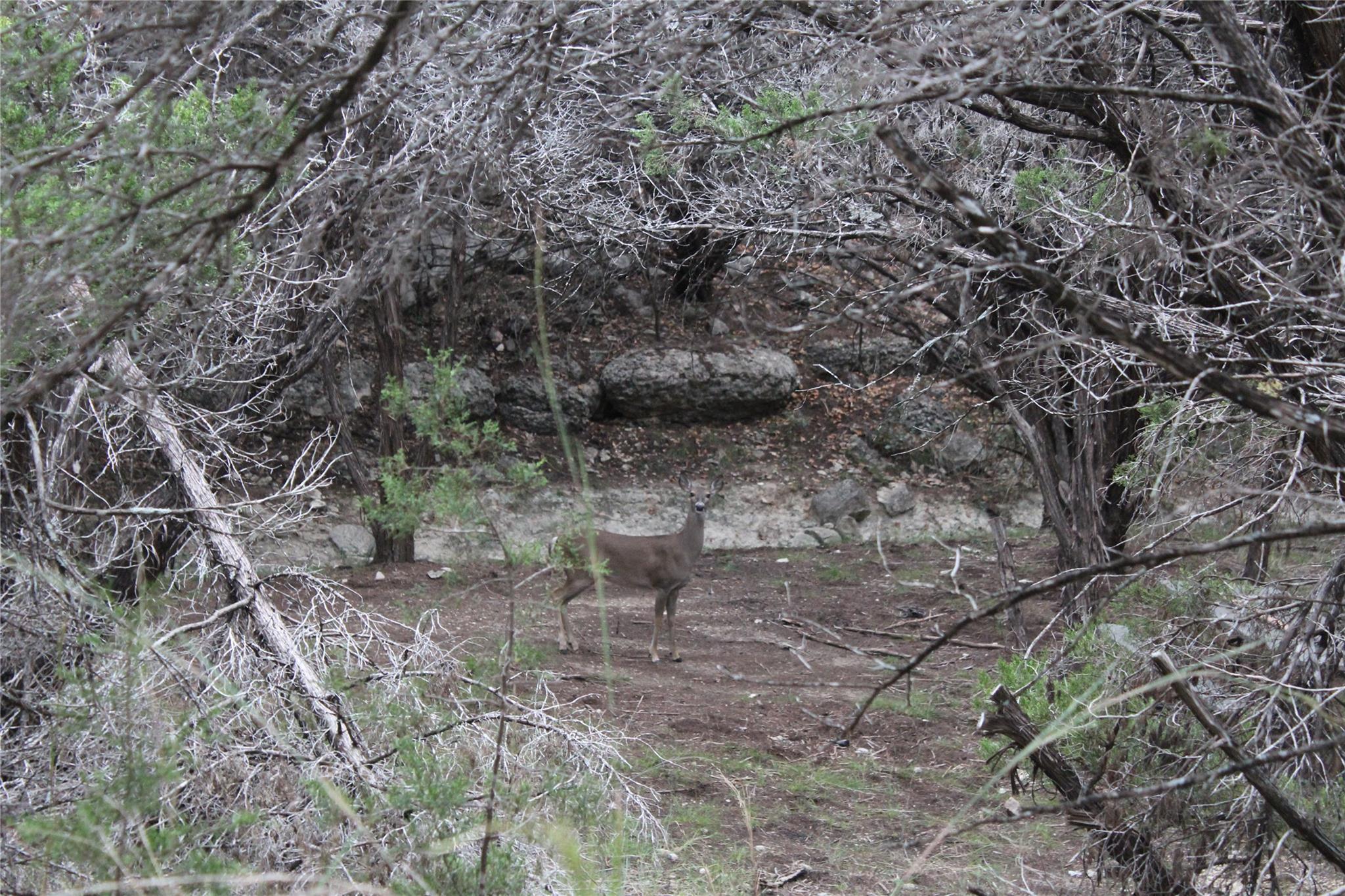 20701 Northland Dr, Lago Vista, TX 78645