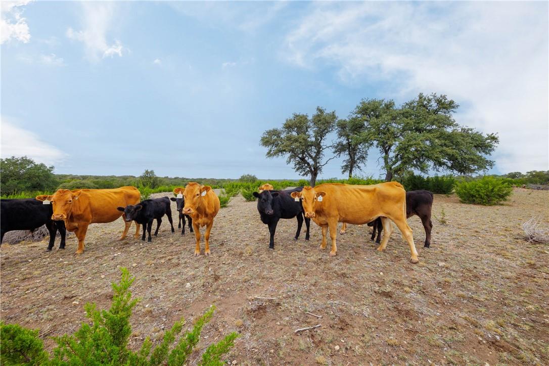 80 CR 508, Goldthwaite, TX 76844