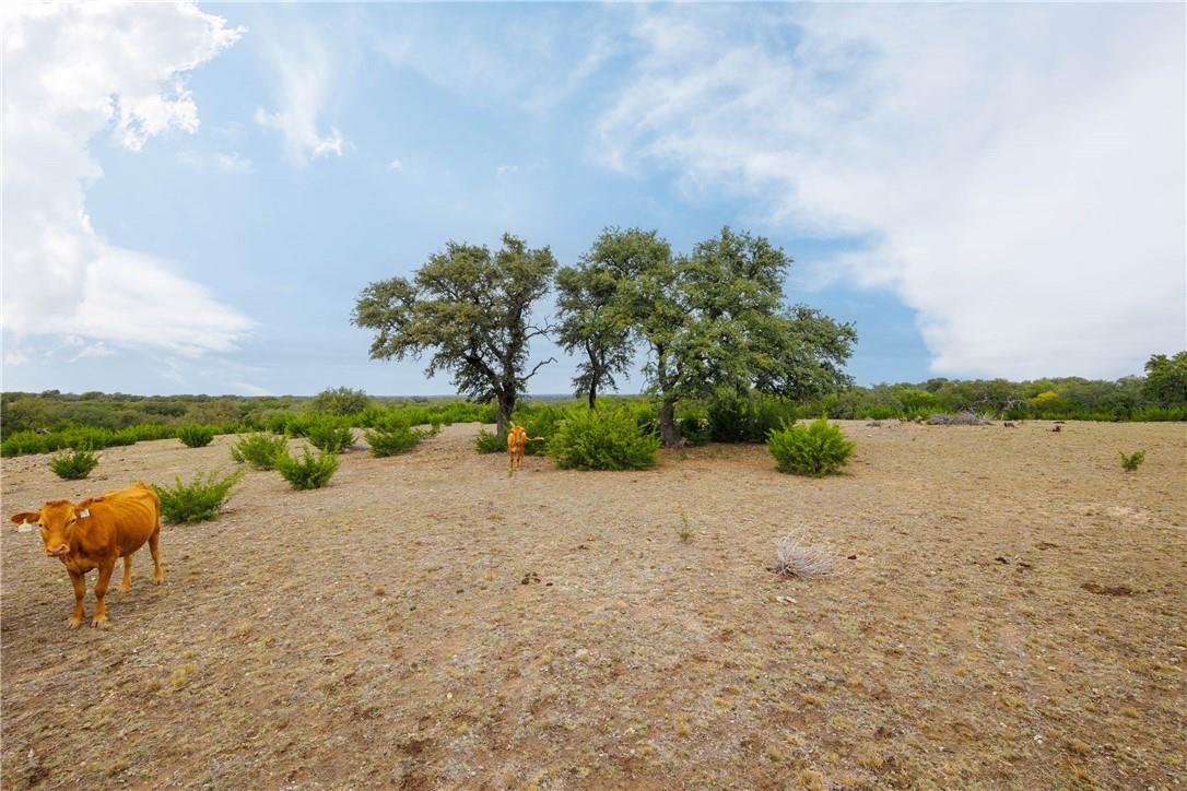 80 CR 508, Goldthwaite, TX 76844