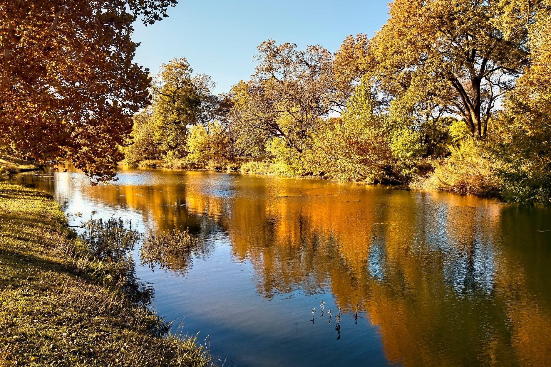 129 Essex Ln, Georgetown, TX 78633